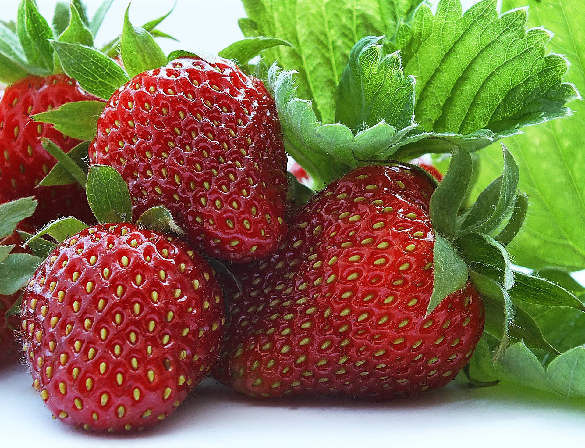 2007X1536 Strawberry Wallpaper and Background