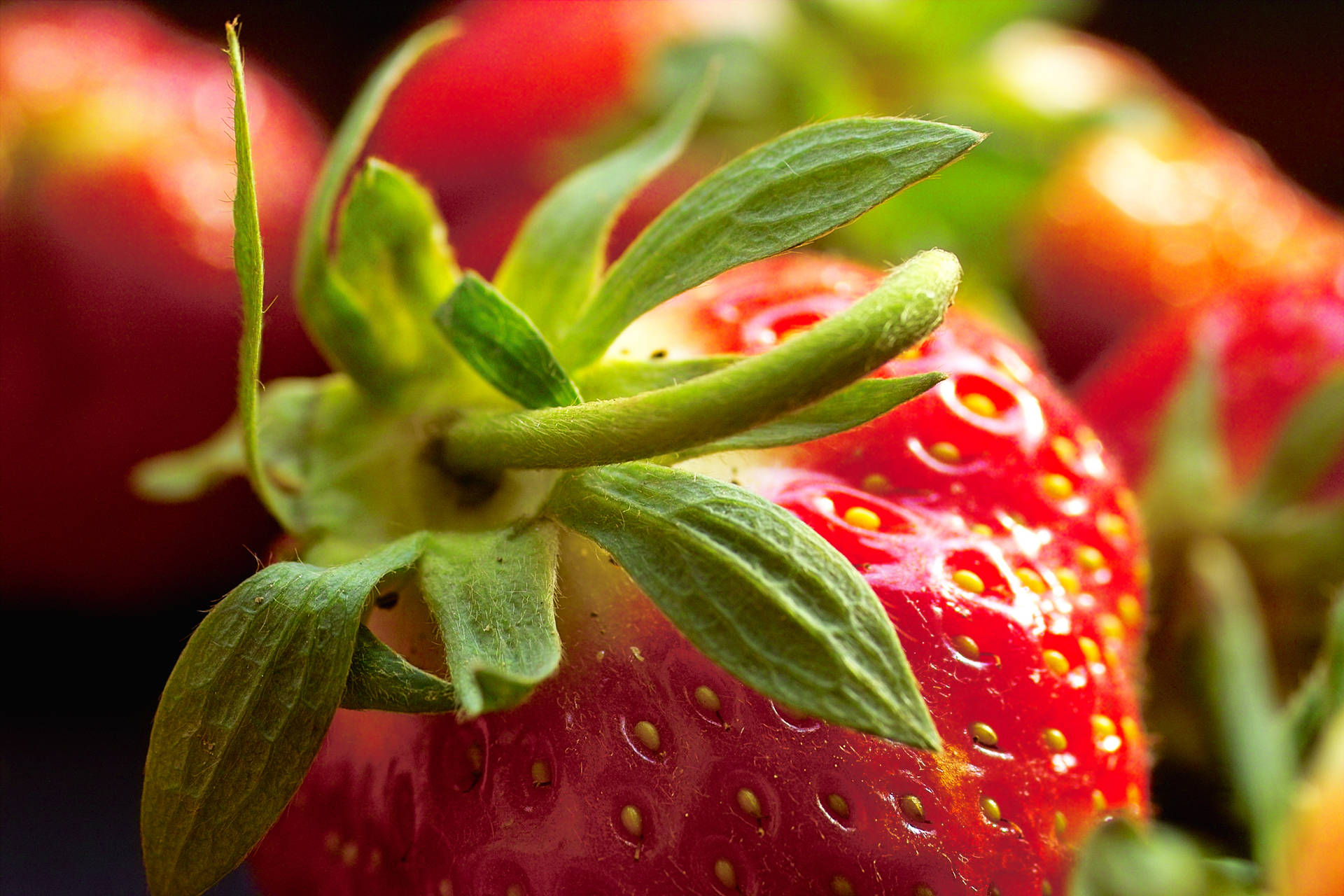Strawberry 2268X1512 Wallpaper and Background Image