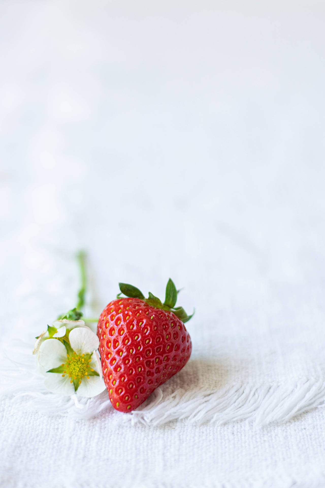 Strawberry 4000X6000 Wallpaper and Background Image