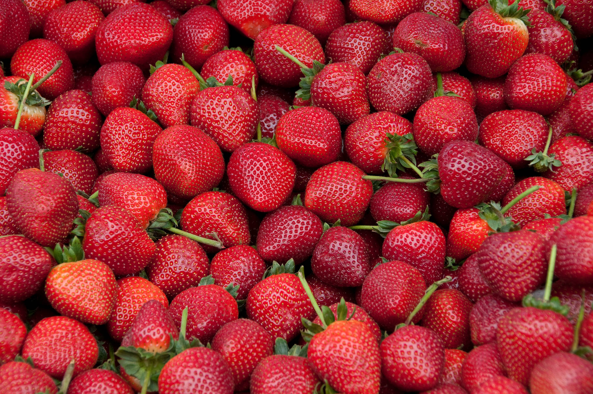 Strawberry 4288X2848 Wallpaper and Background Image