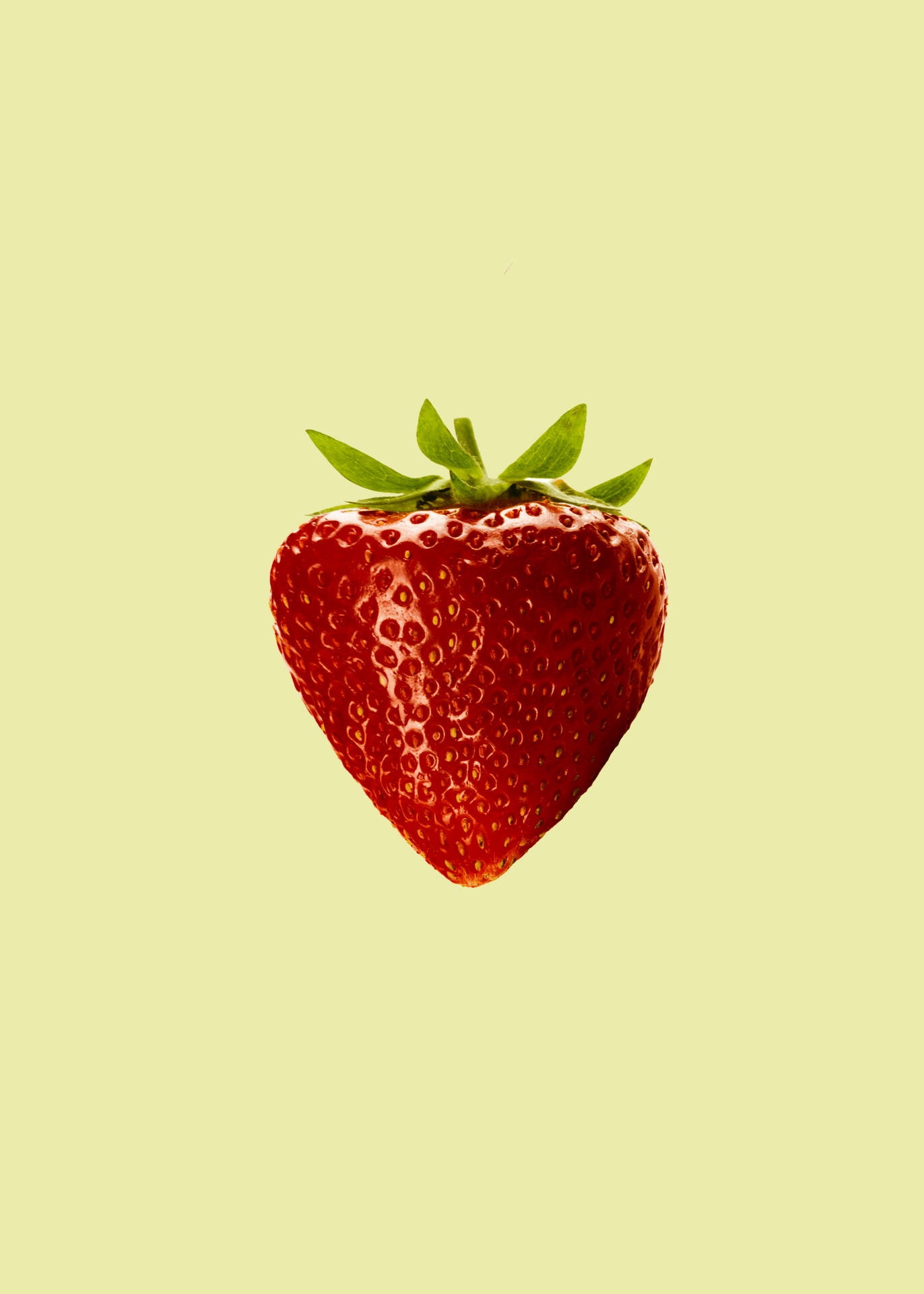 7173X10041 Strawberry Wallpaper and Background