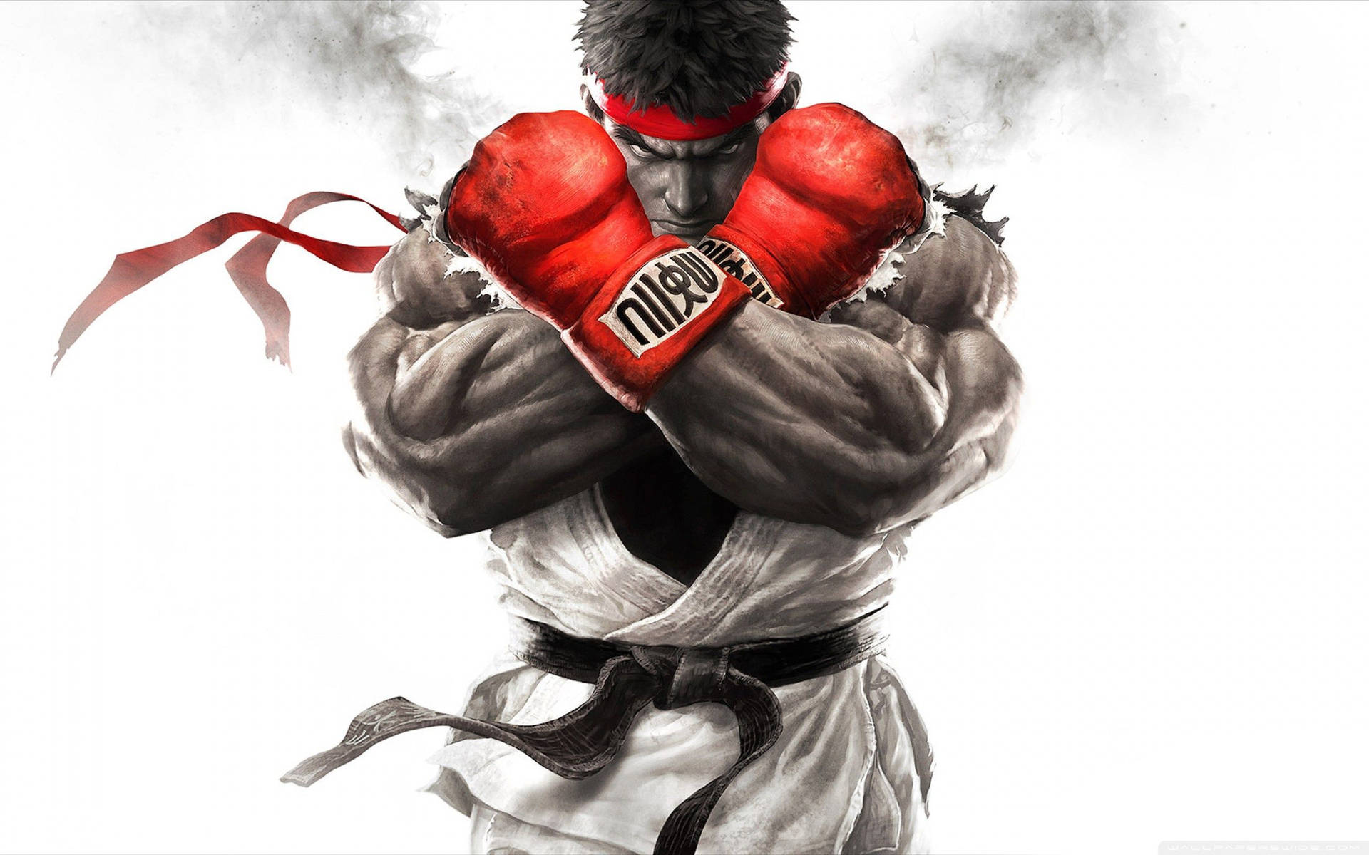 2560X1600 Street Fighter Wallpaper and Background