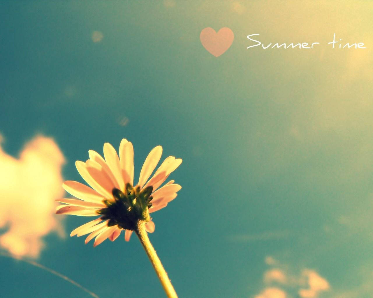 1280X1024 Summer Wallpaper and Background