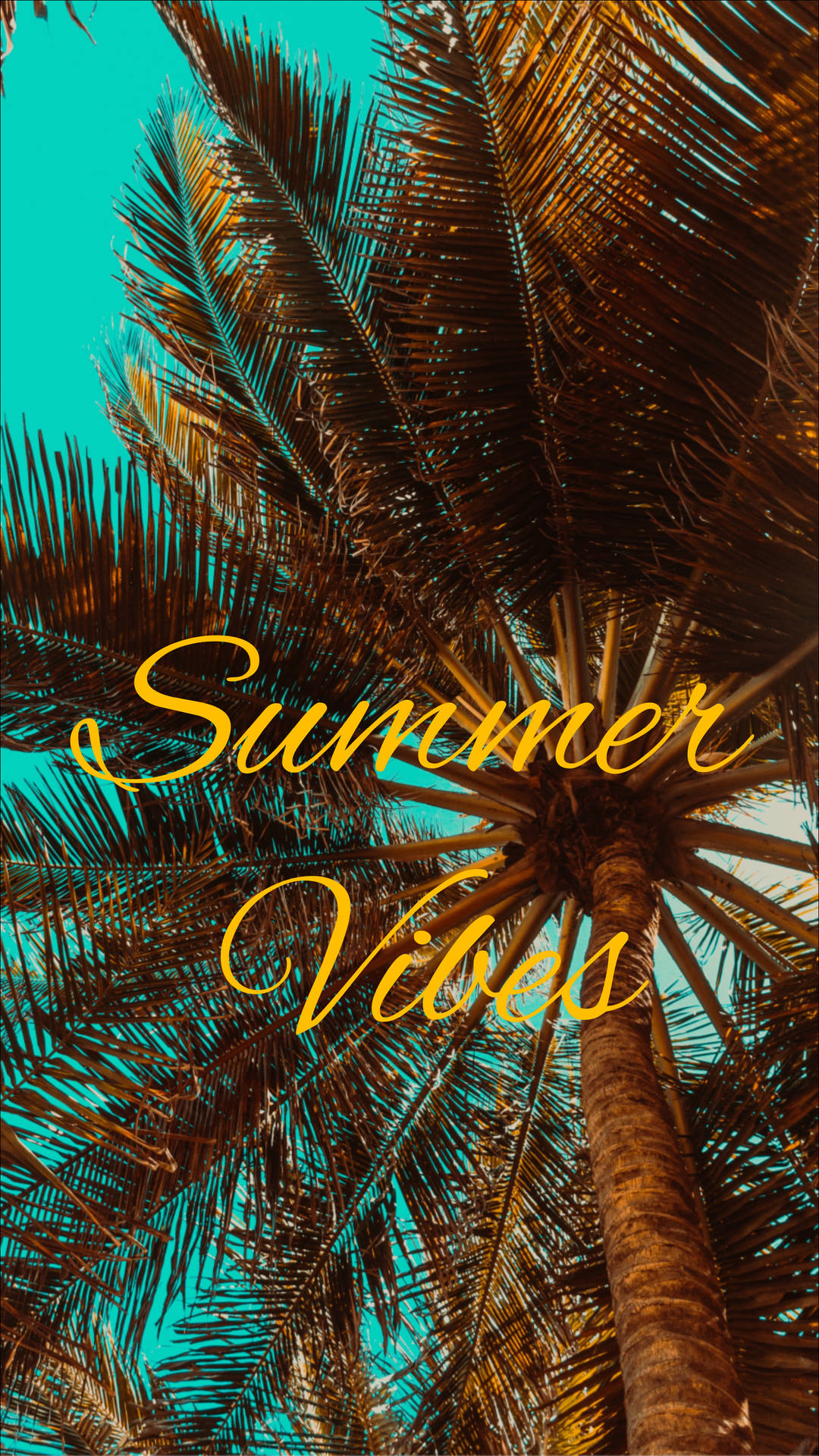 Summer 3240X5760 Wallpaper and Background Image