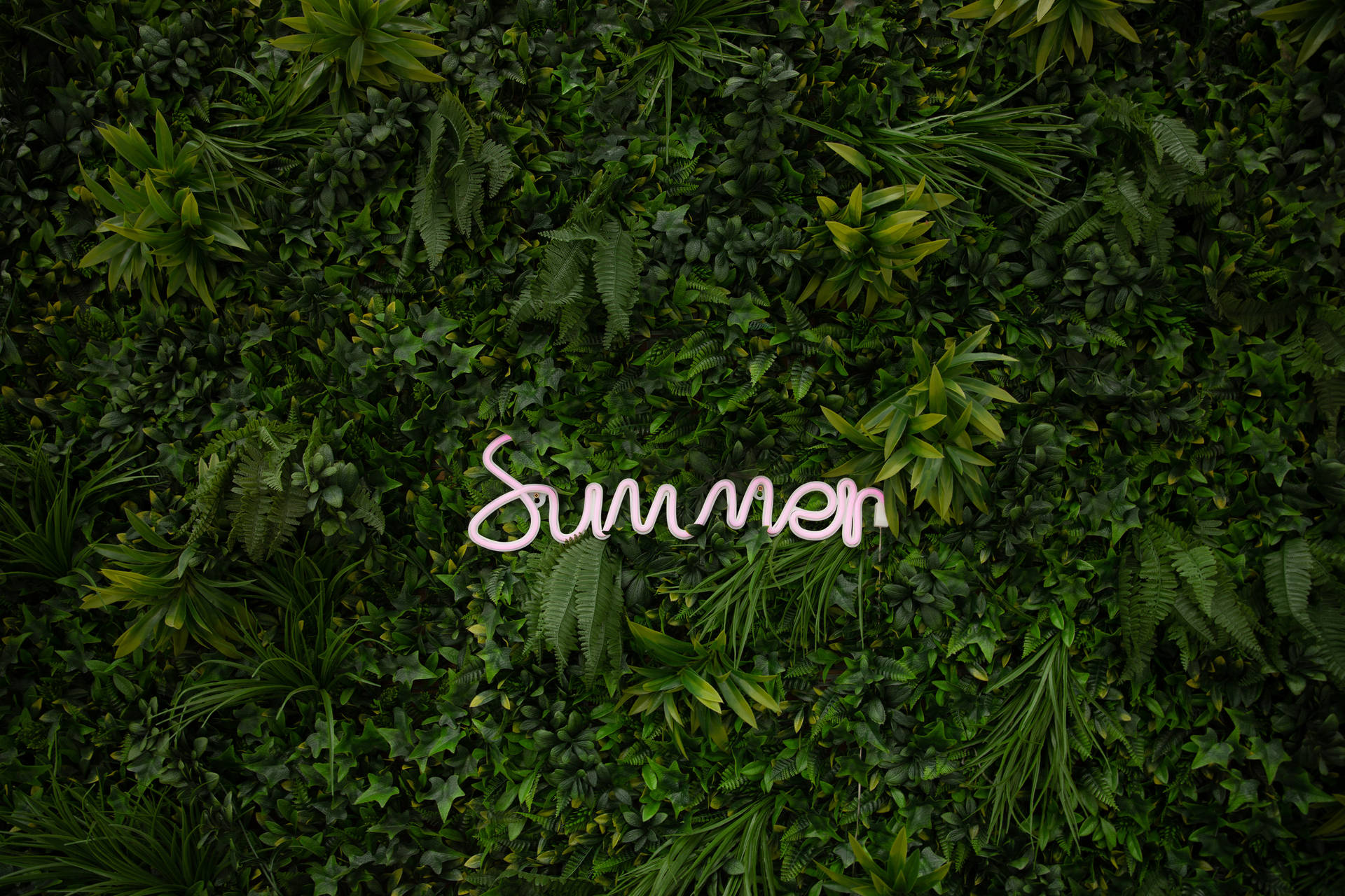 6720X4480 Summer Wallpaper and Background