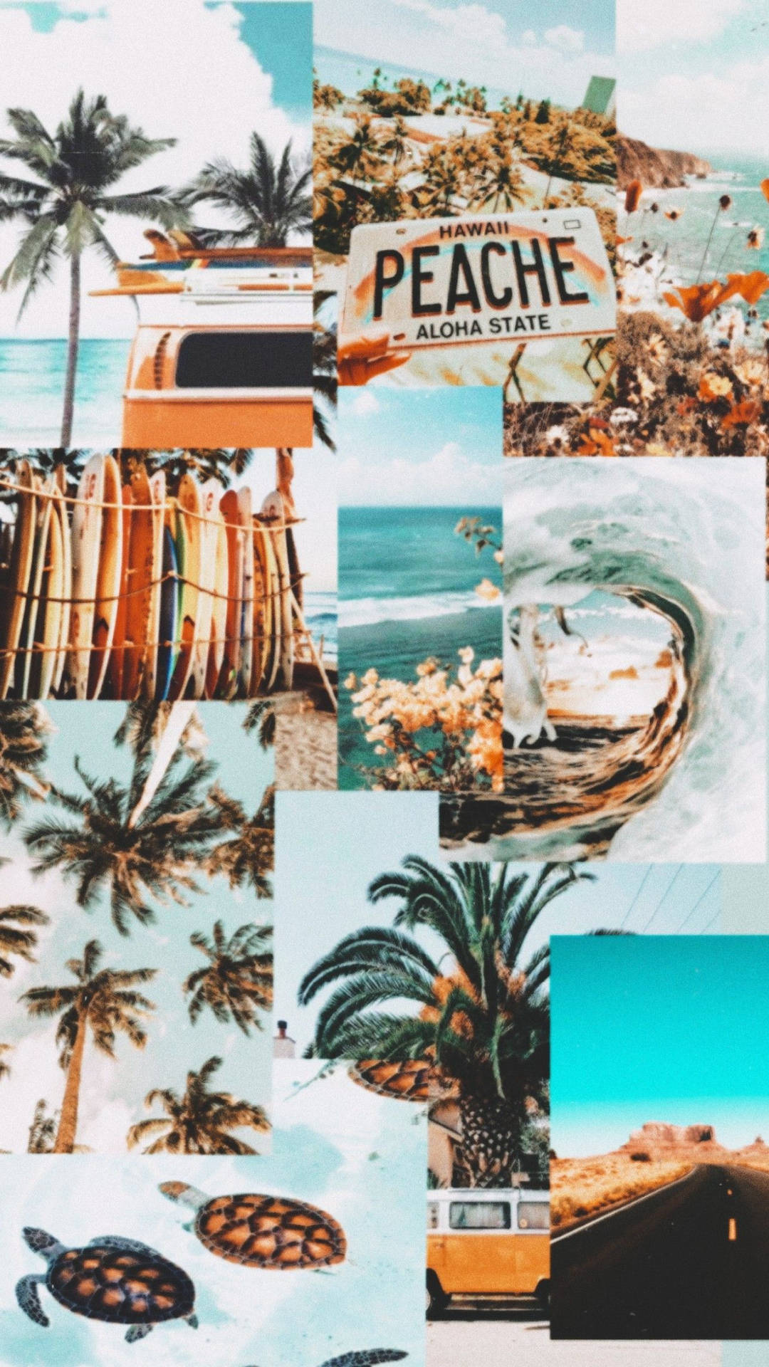Summer Aesthetic 1288X2289 Wallpaper and Background Image