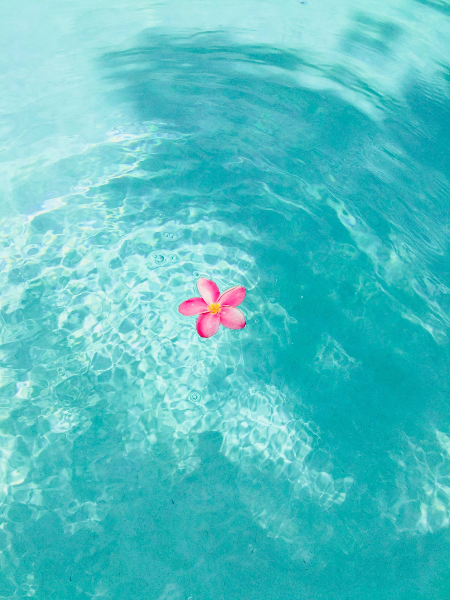 Summer Aesthetic 2448X3264 Wallpaper and Background Image