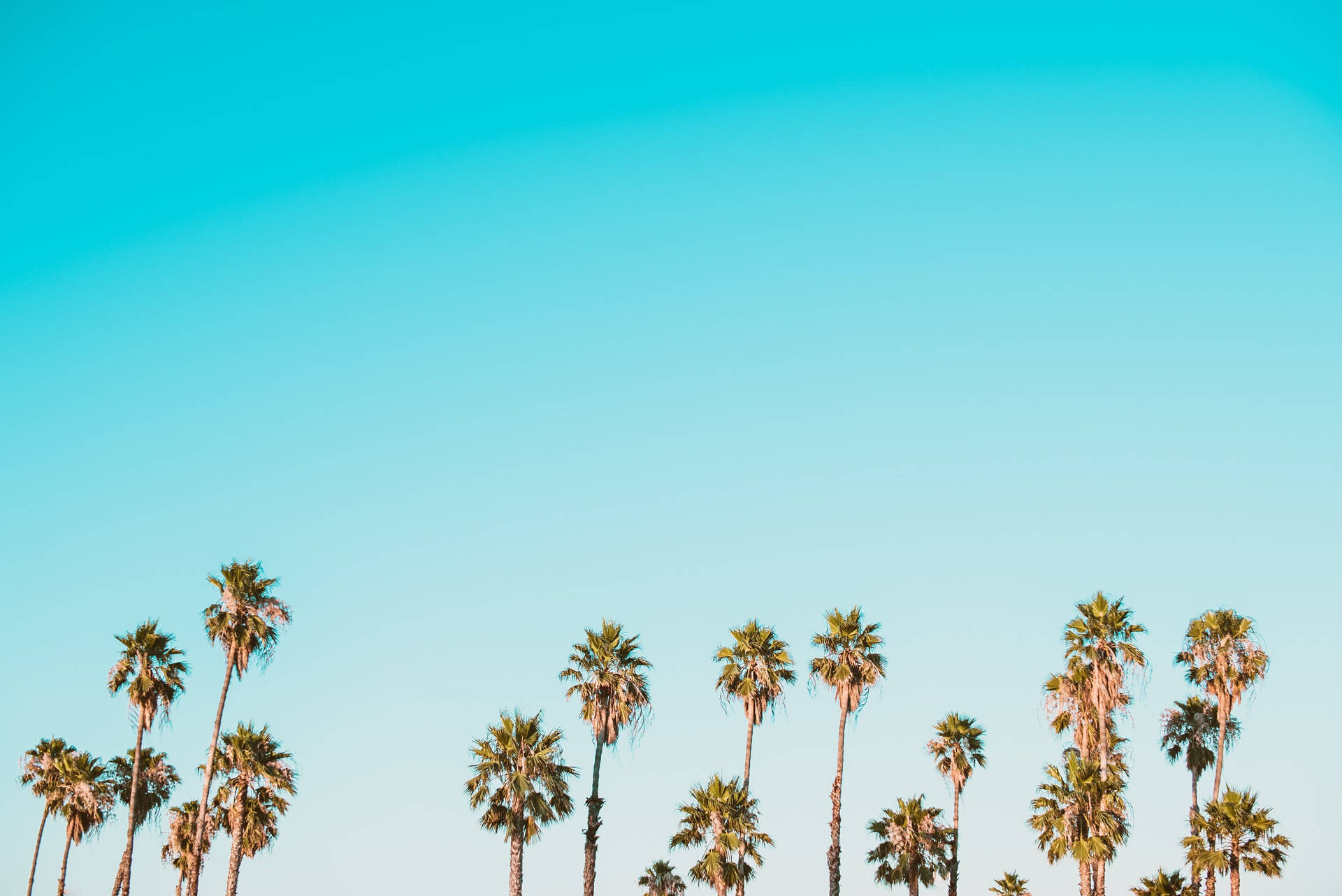 Summer Aesthetic 4240X2832 Wallpaper and Background Image
