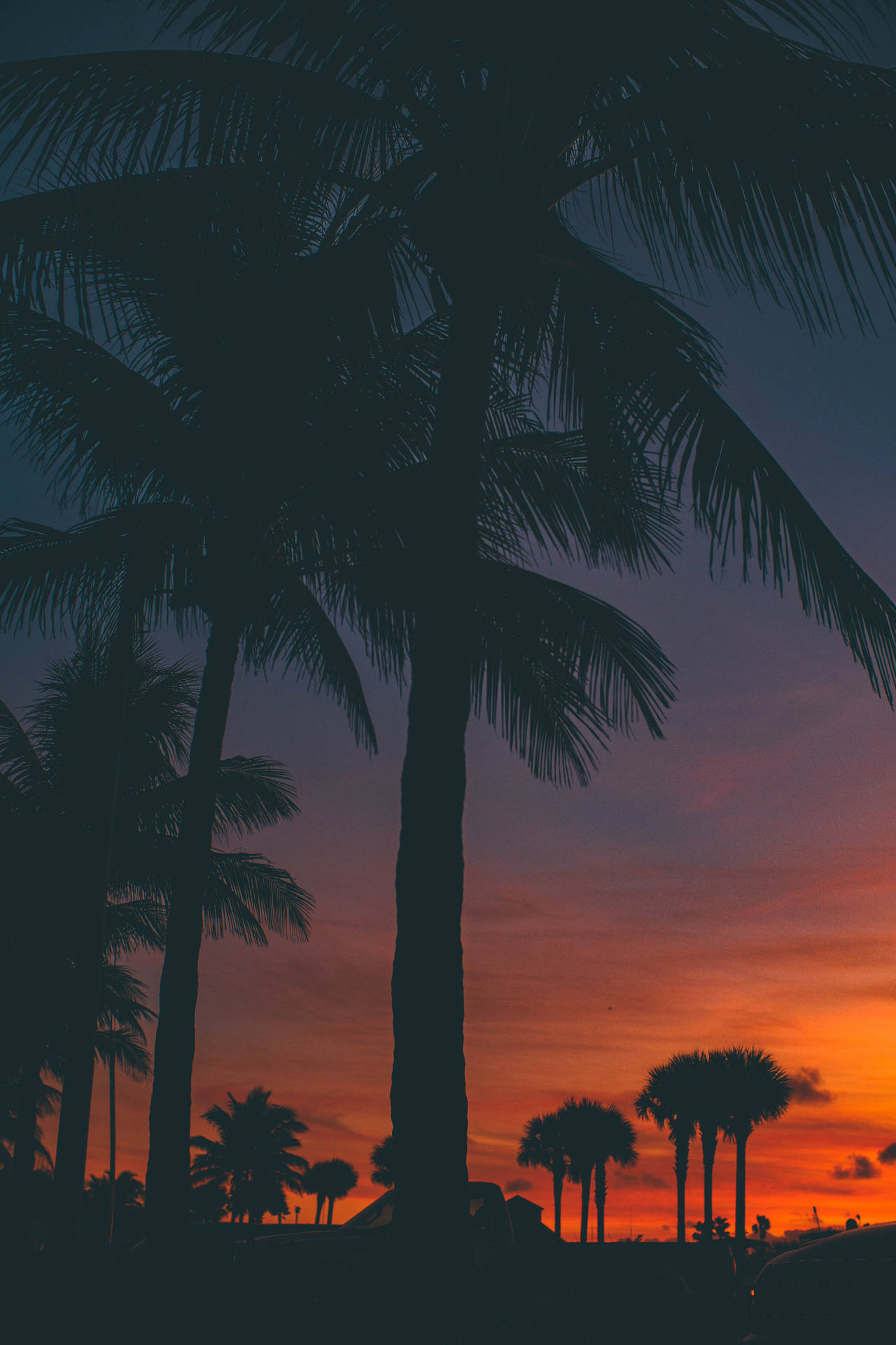 4000X6000 Sunset Wallpaper and Background