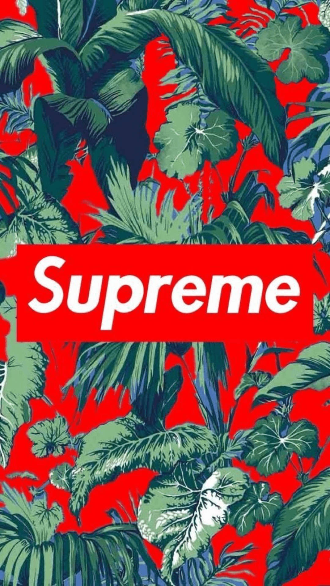 1242X2208 Supreme Wallpaper and Background