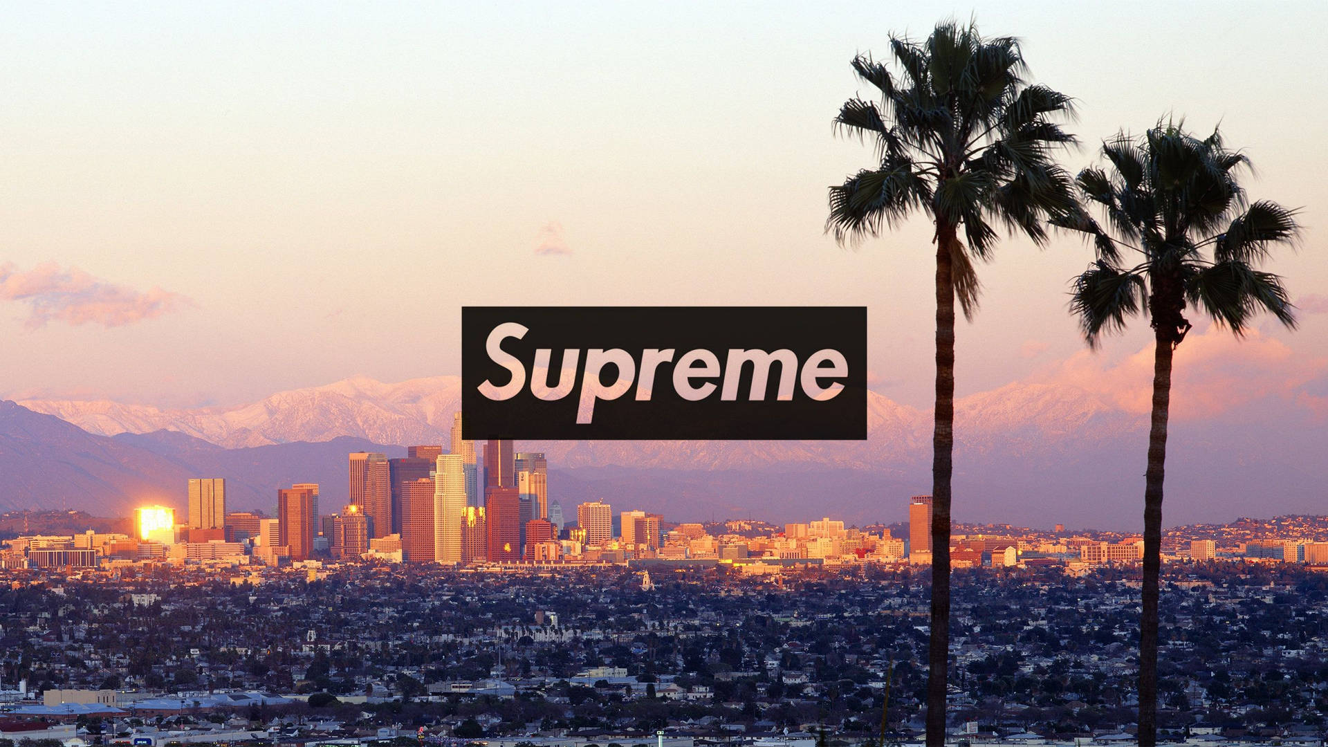 2560X1440 Supreme Wallpaper and Background