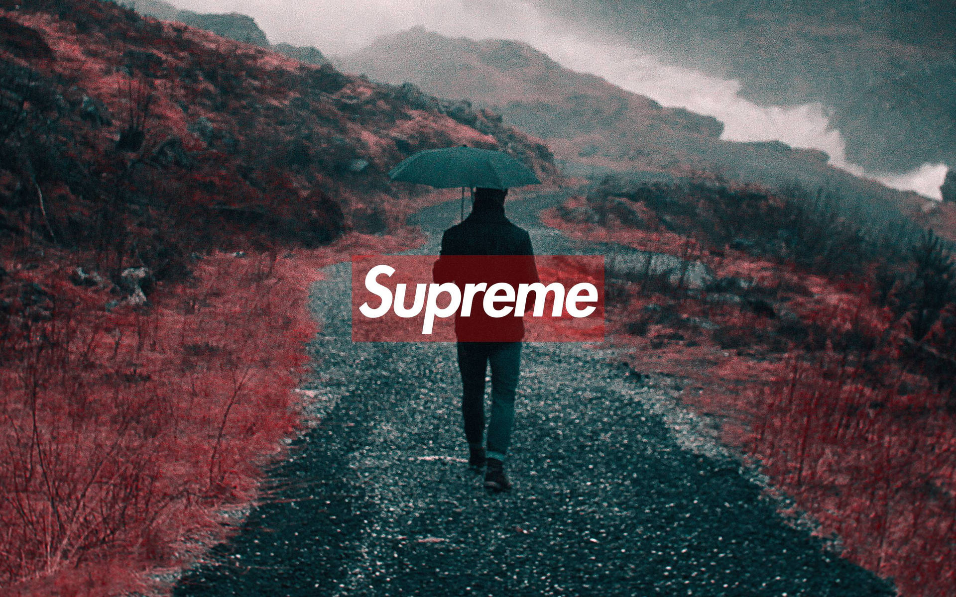 2880X1800 Supreme Wallpaper and Background