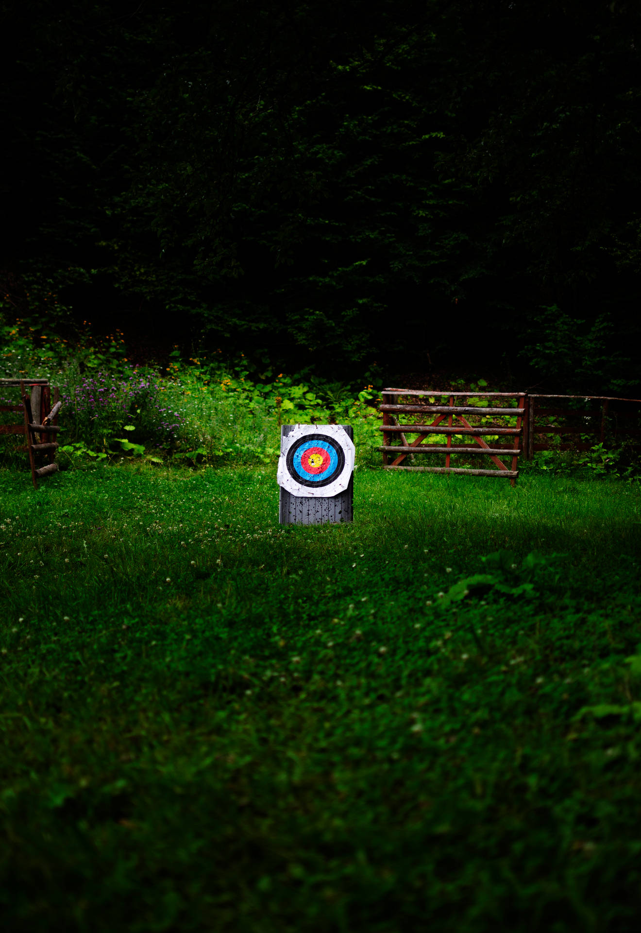3264X4748 Target Wallpaper and Background