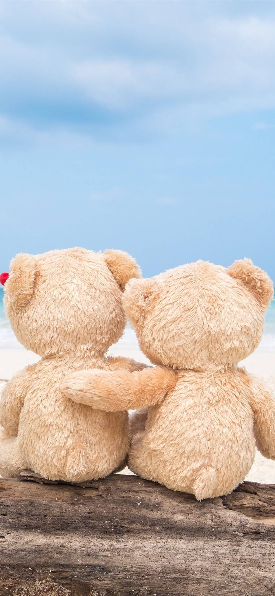 1242X2688 Teddy Bear Wallpaper and Background