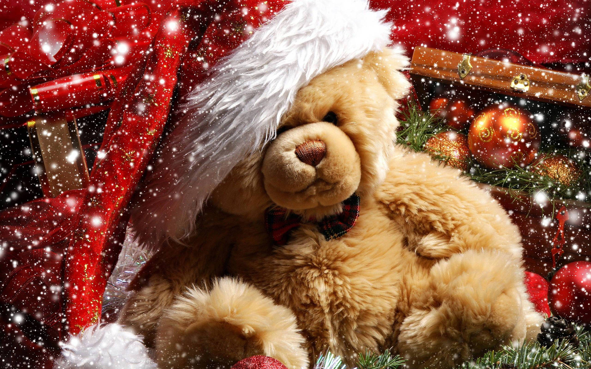 2560X1600 Teddy Bear Wallpaper and Background