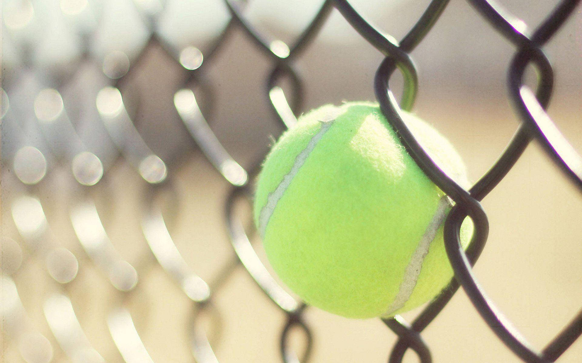 Tennis 1920X1200 Wallpaper and Background Image