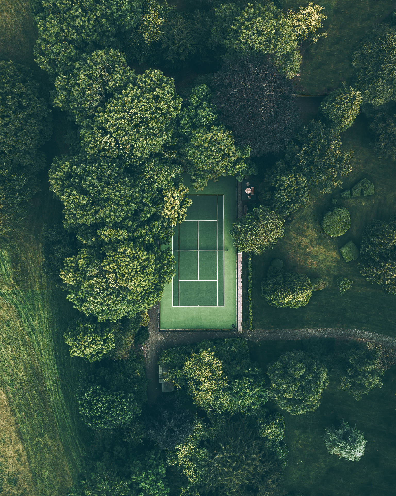 2196X2745 Tennis Wallpaper and Background