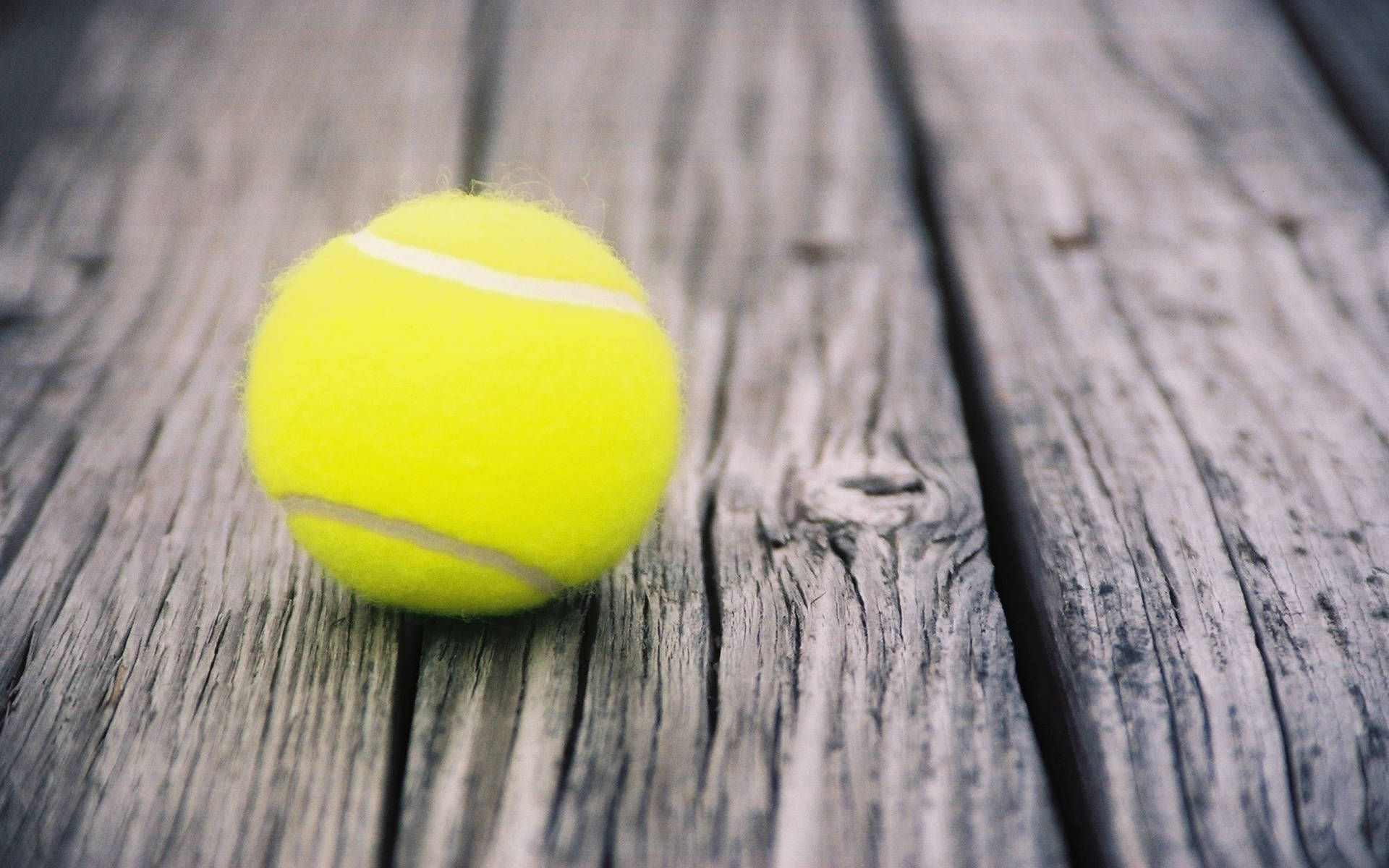Tennis 2560X1600 Wallpaper and Background Image