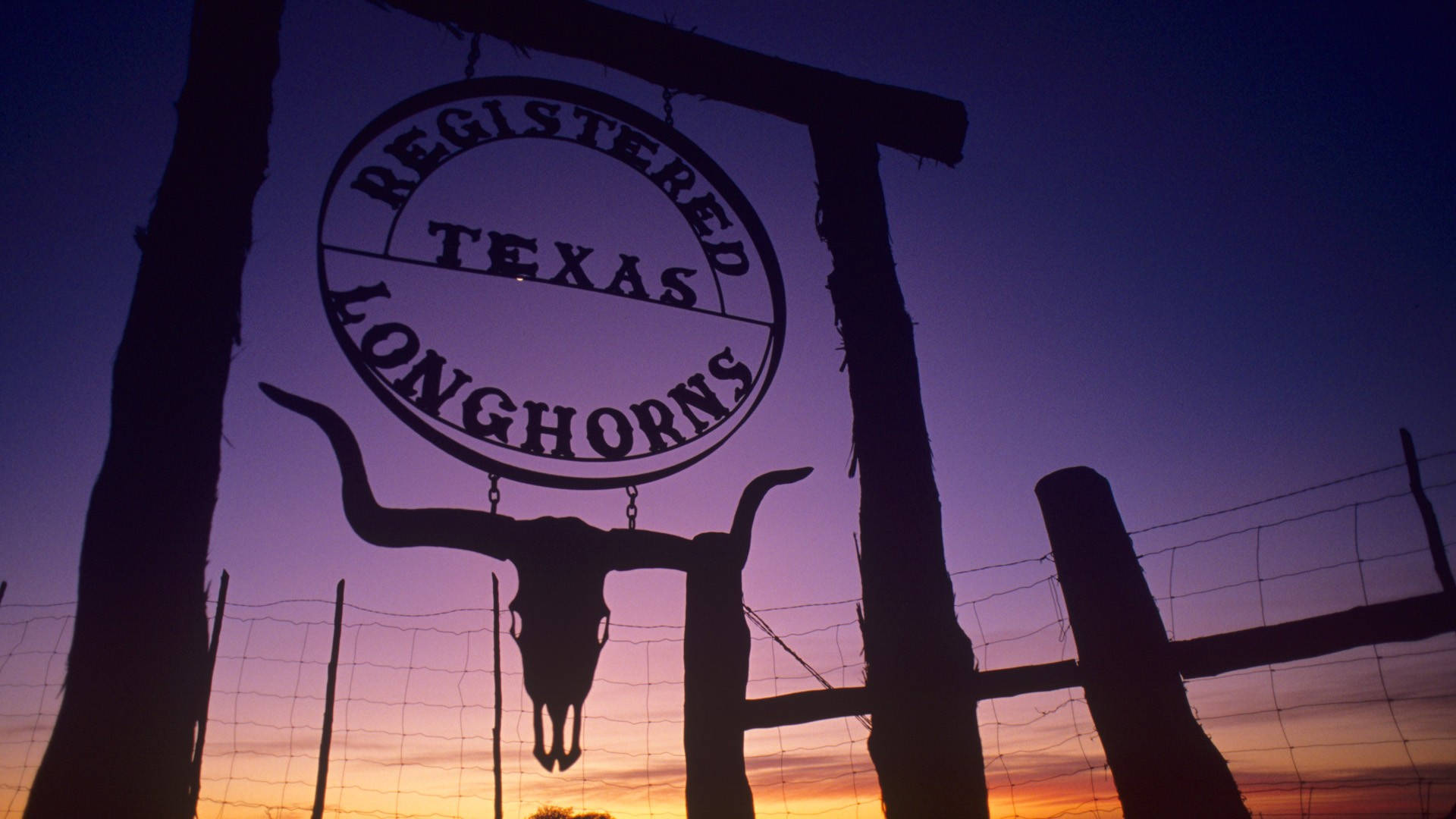 Texas 1920X1080 Wallpaper and Background Image