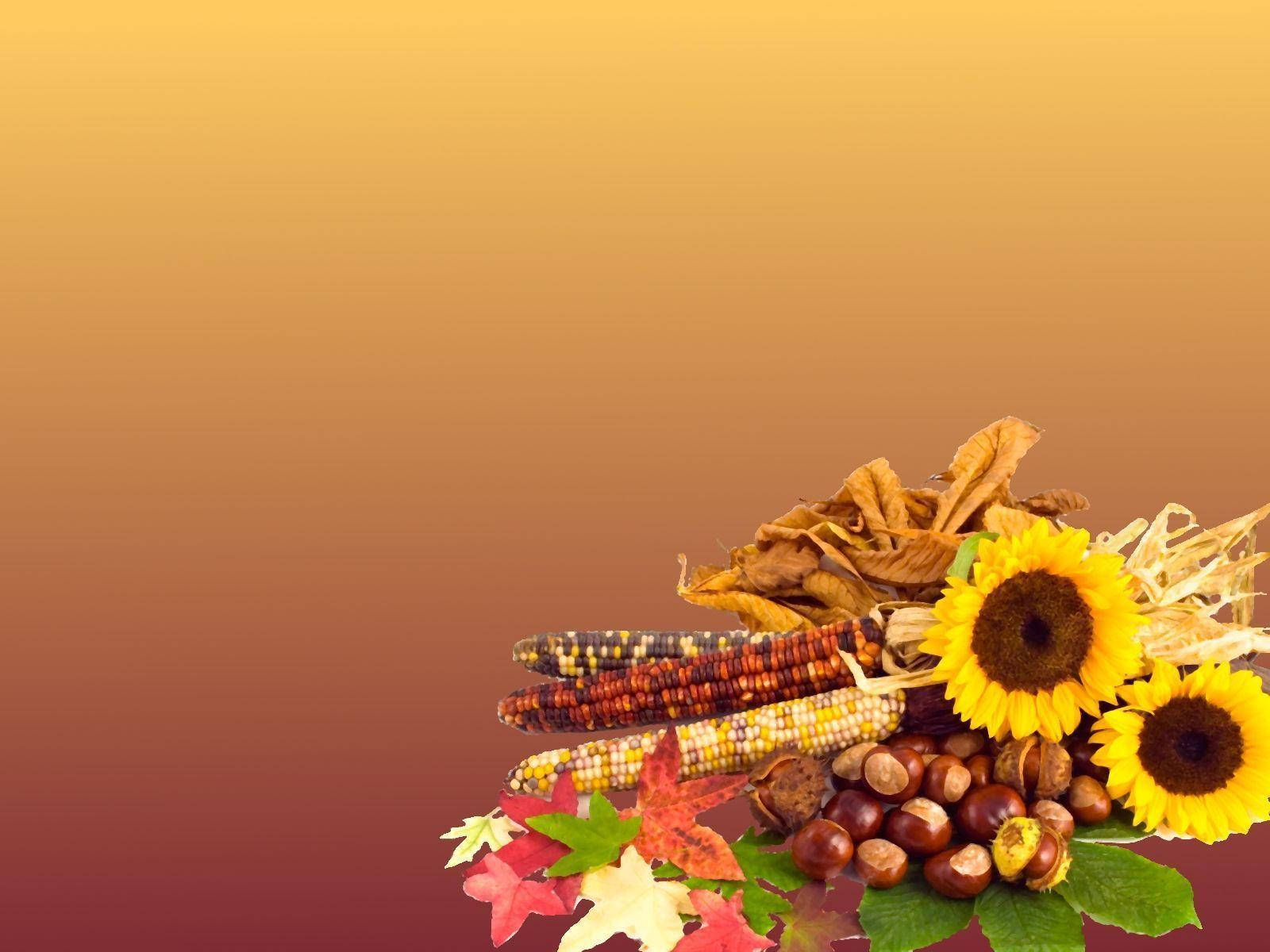 Thanksgiving 1600X1200 Wallpaper and Background Image