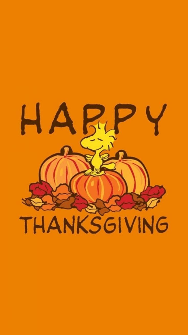 736X1308 Thanksgiving Wallpaper and Background