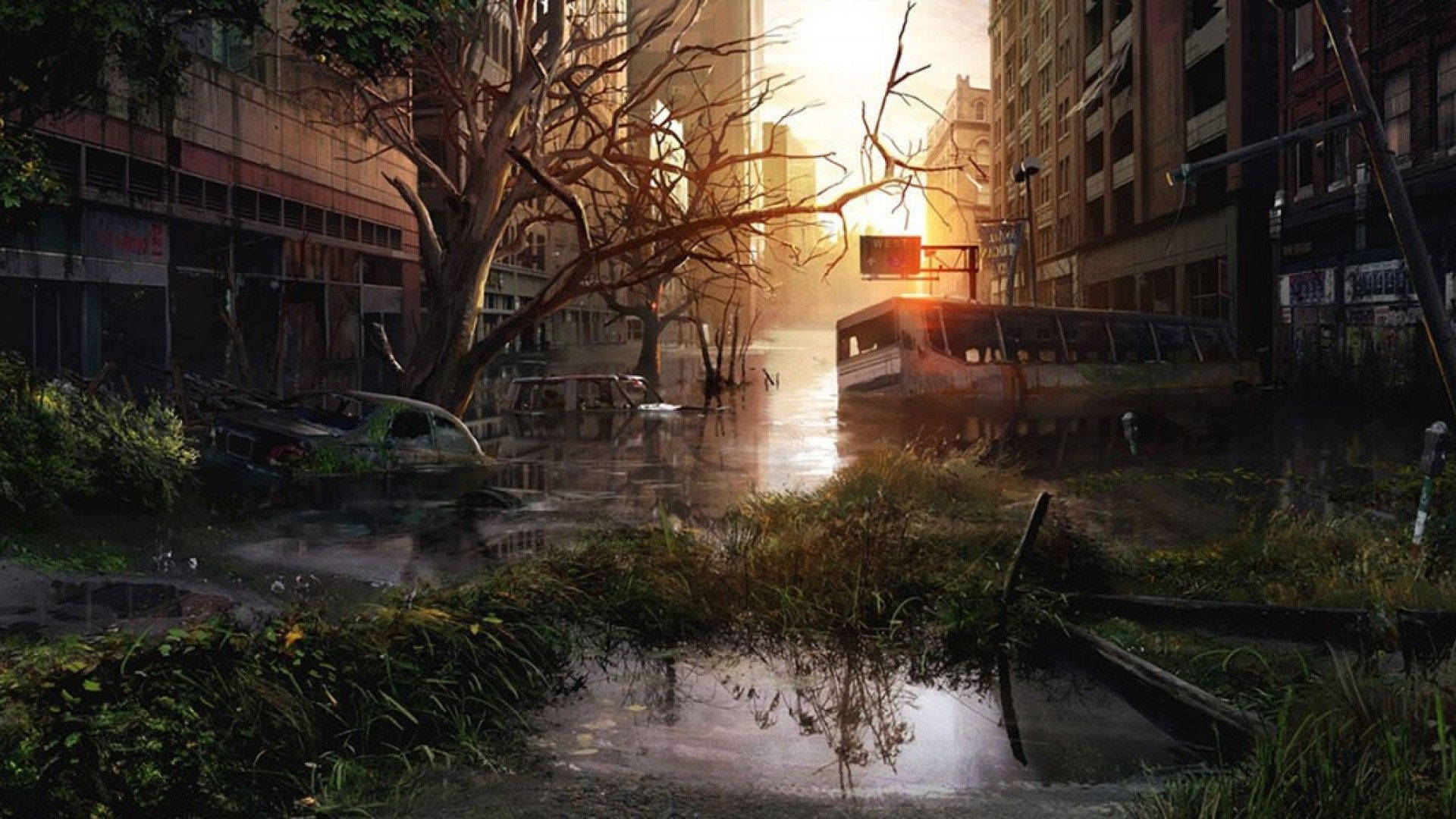 1920X1080 The Last Of Us Wallpaper and Background