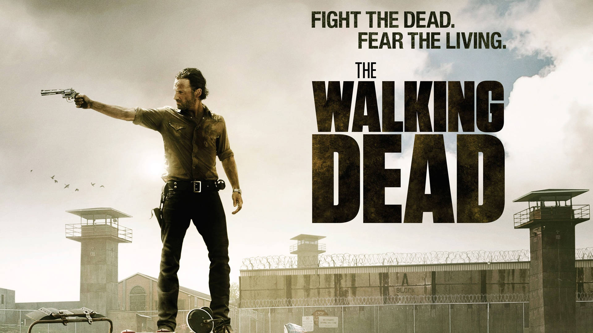 1920X1080 The Walking Dead Wallpaper and Background