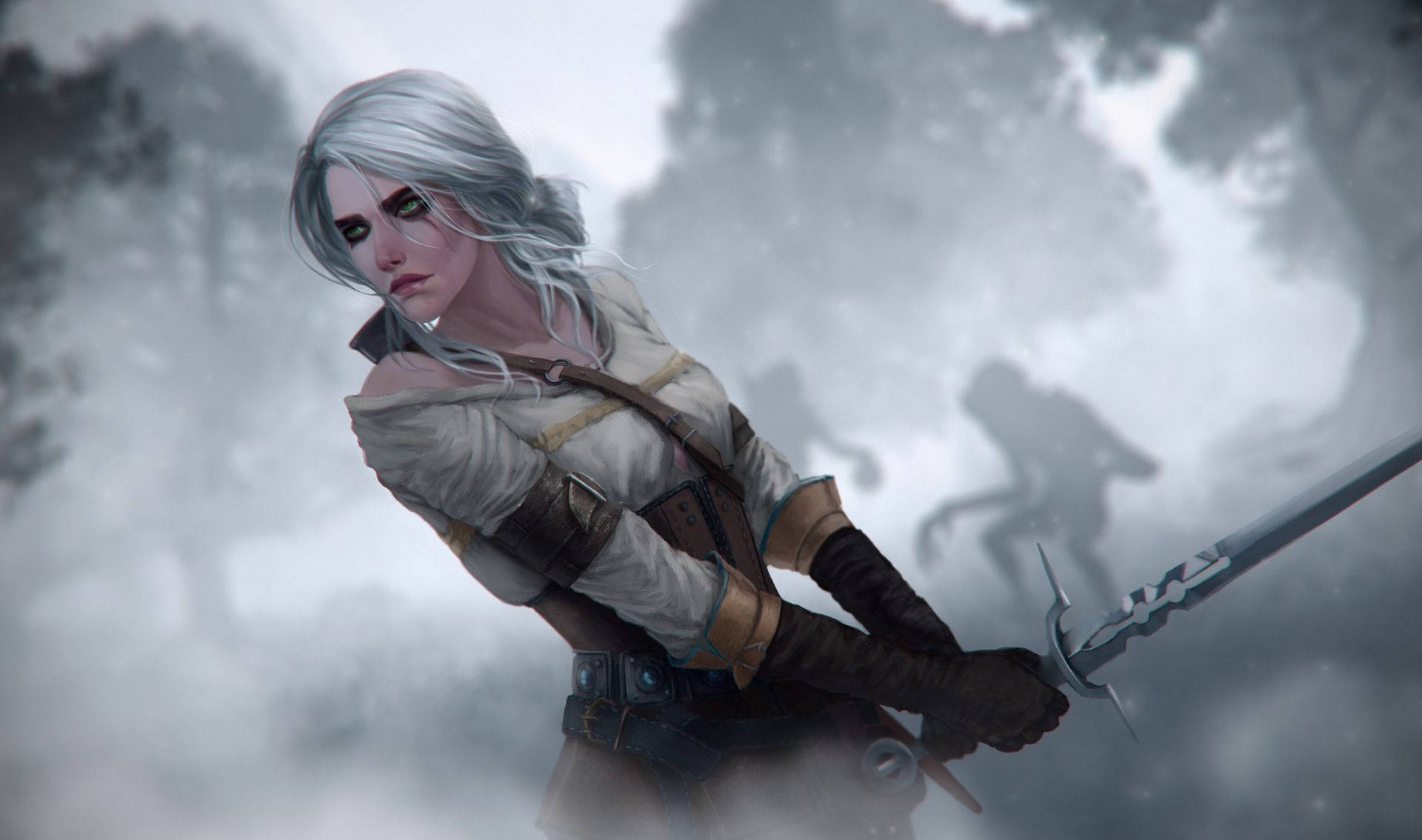 The Witcher 1920X1134 Wallpaper and Background Image