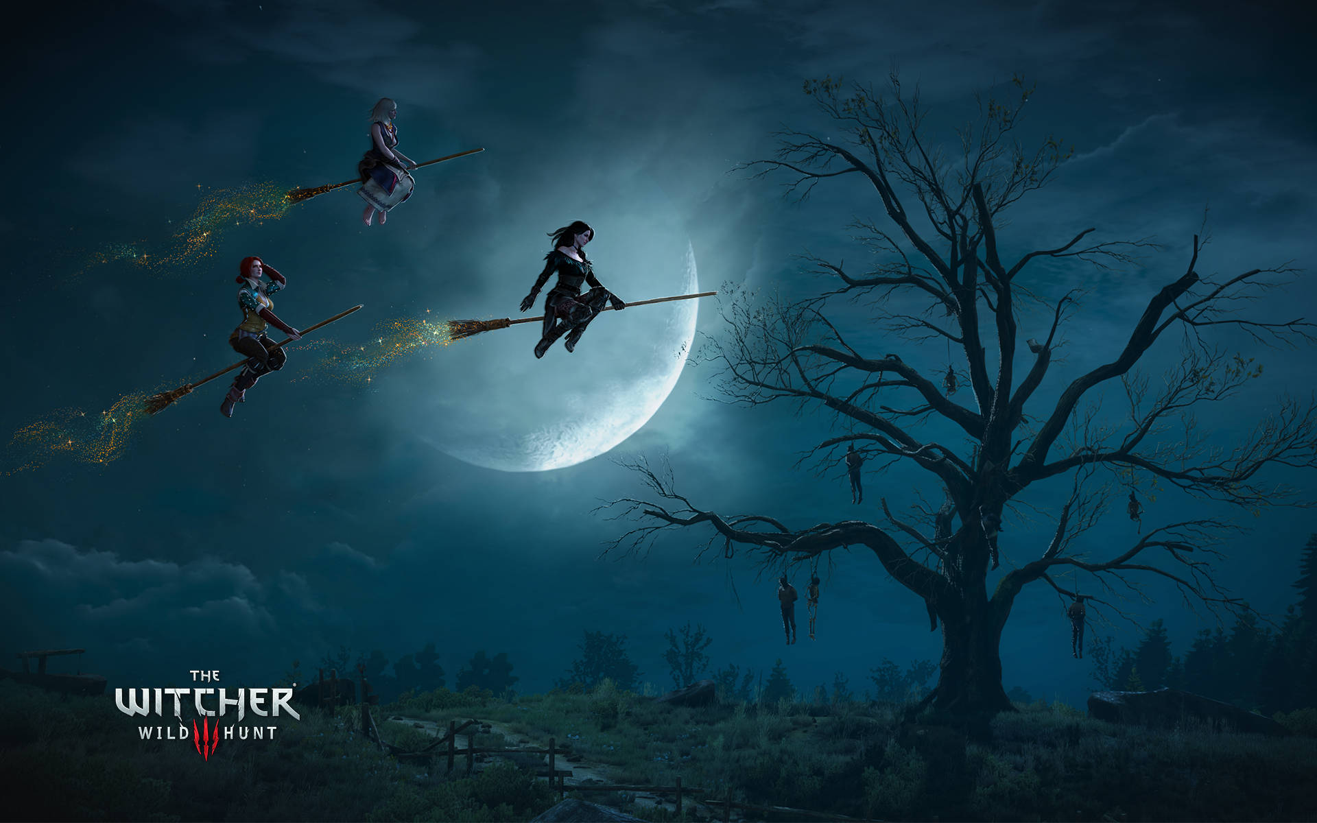 The Witcher 3 1920X1200 Wallpaper and Background Image