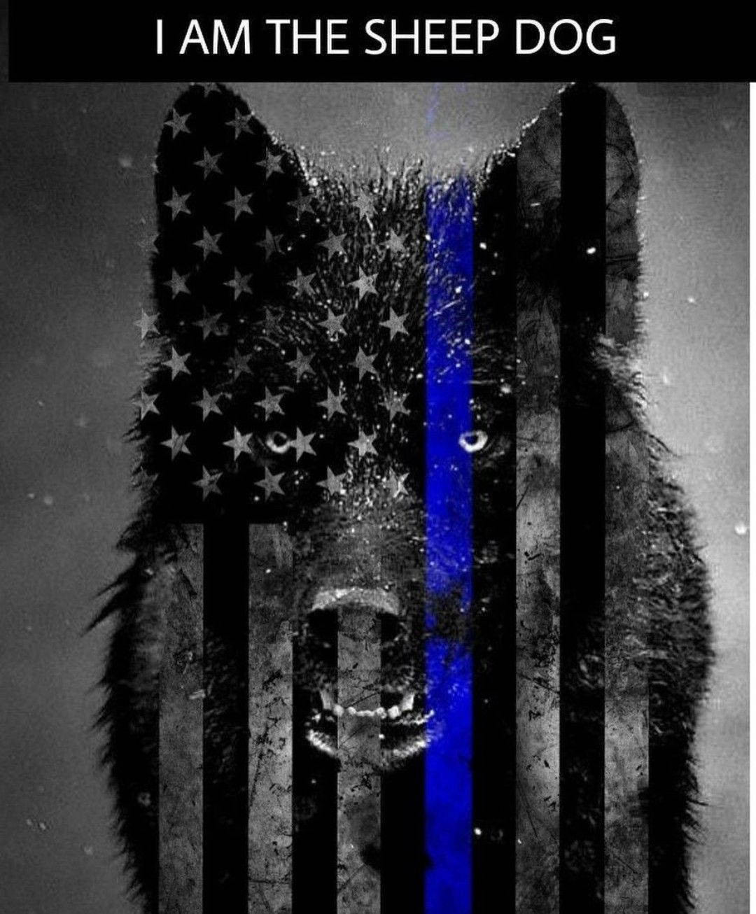 Thin Blue Line 1080X1306 Wallpaper and Background Image