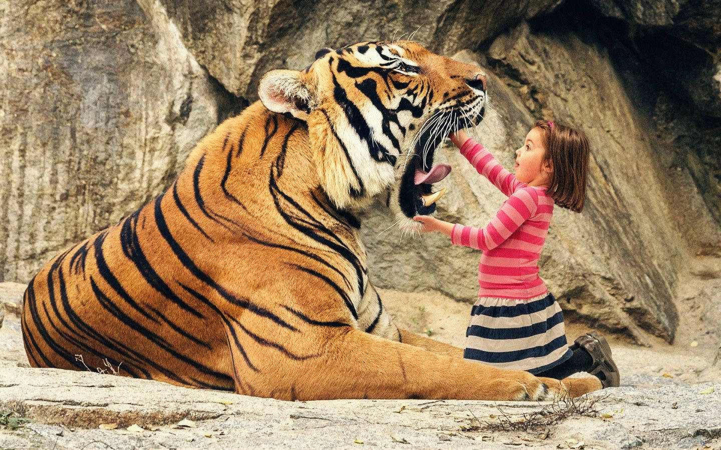 Tiger 1440X900 wallpaper