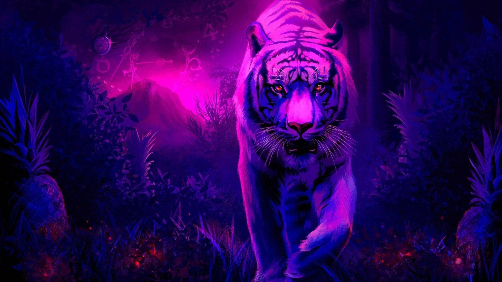 Tiger 2000X1125 Wallpaper and Background Image