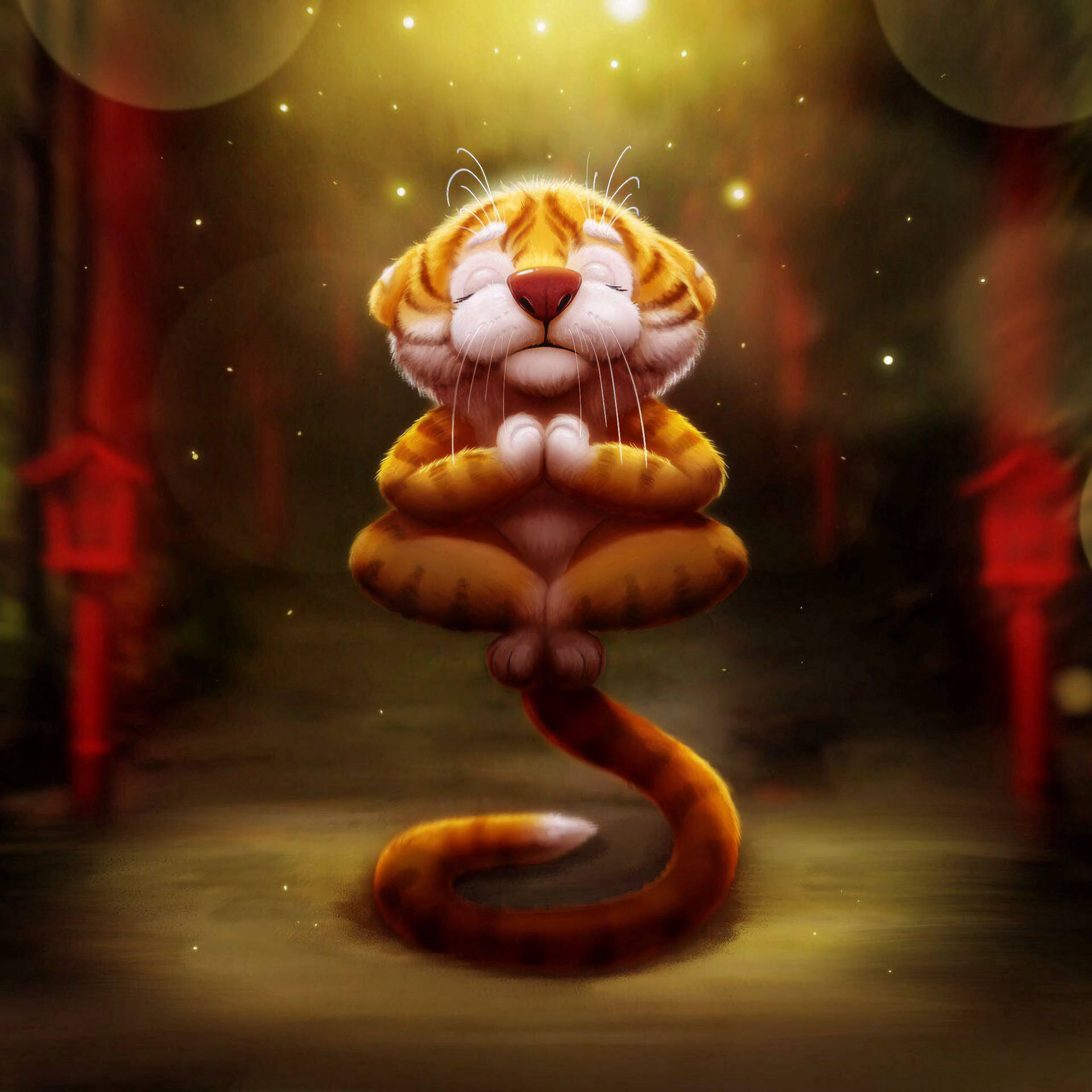 Tiger 2560X2560 wallpaper