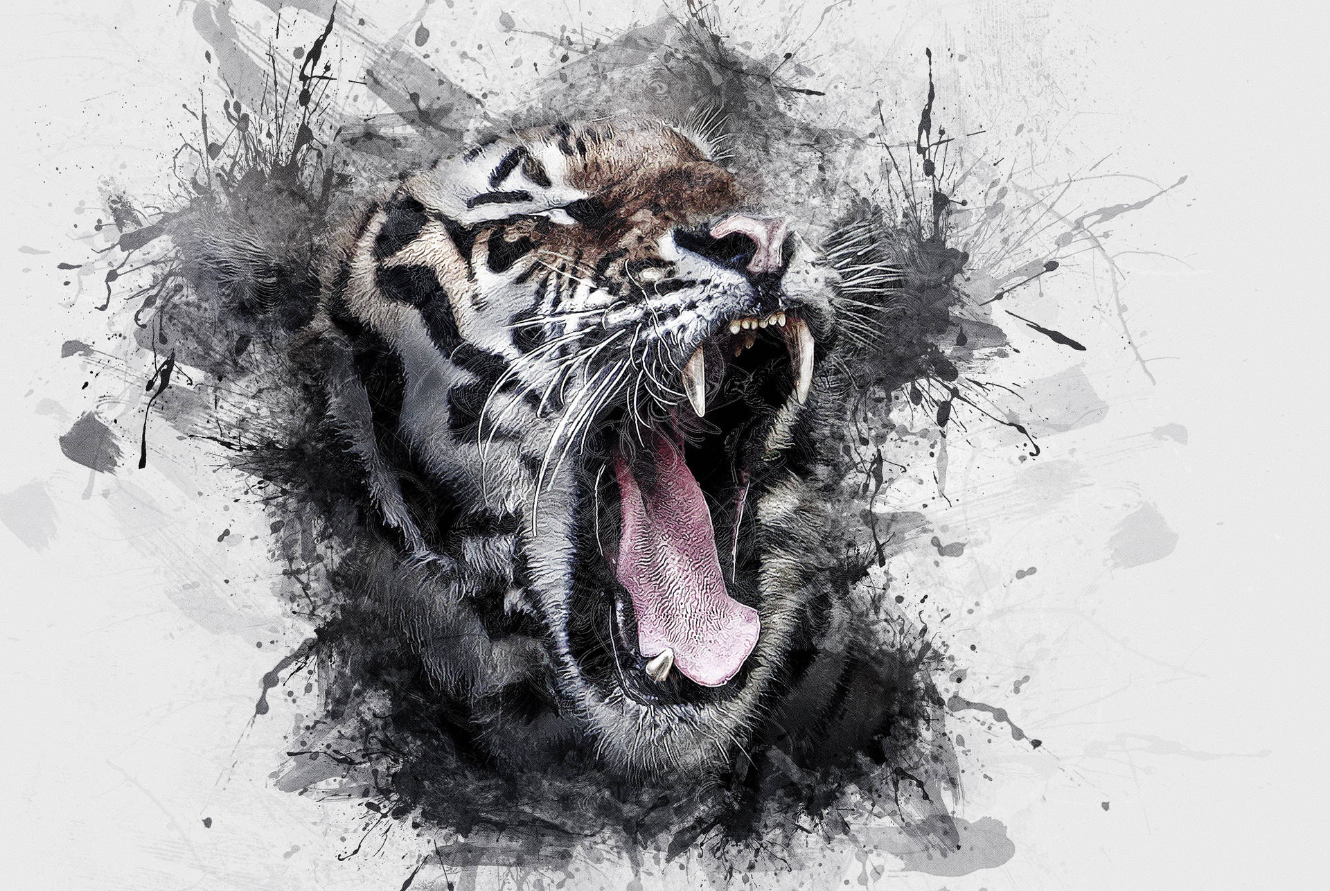 Tiger 3150X2110 Wallpaper and Background Image