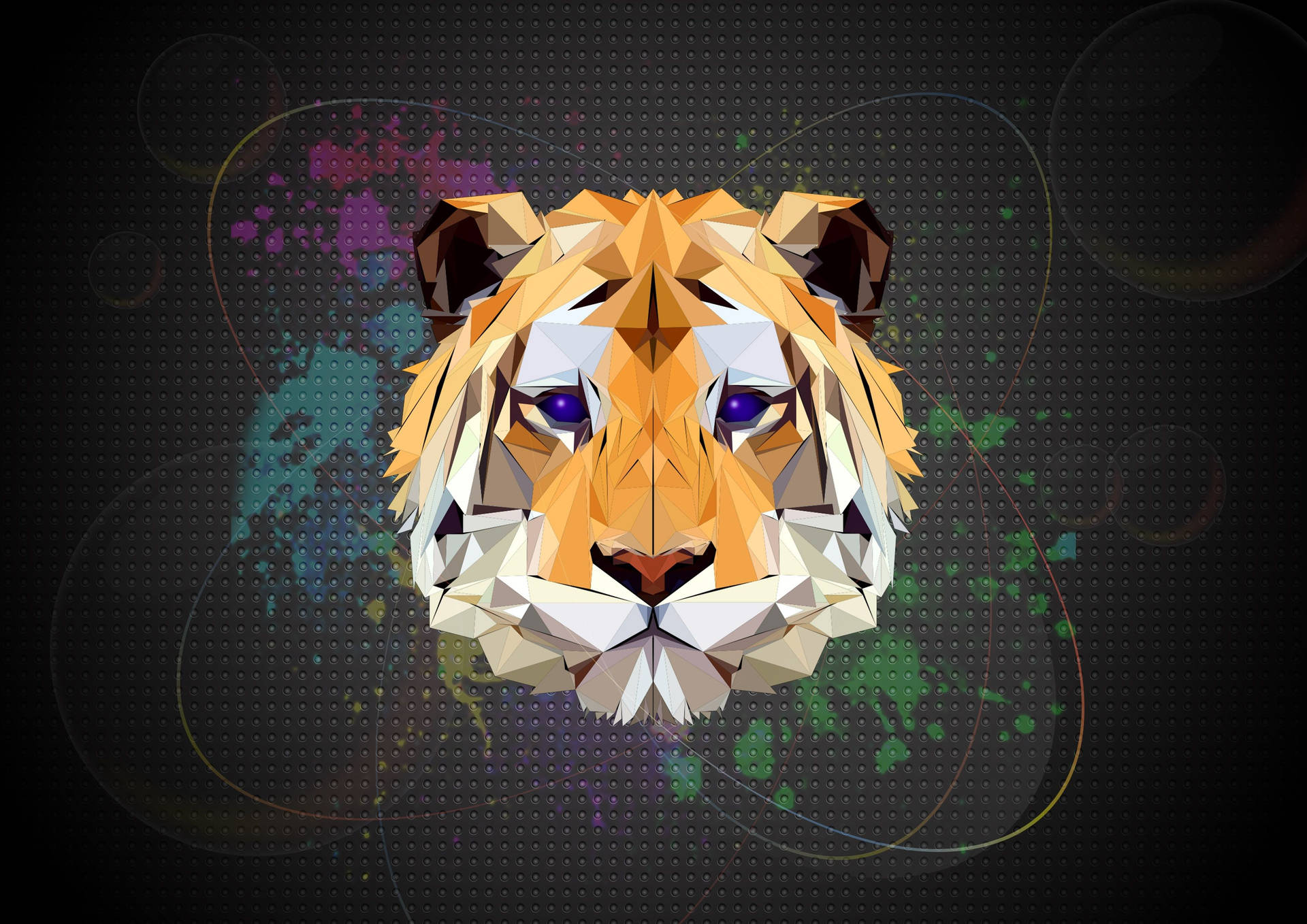 Tiger 3507X2480 Wallpaper and Background Image