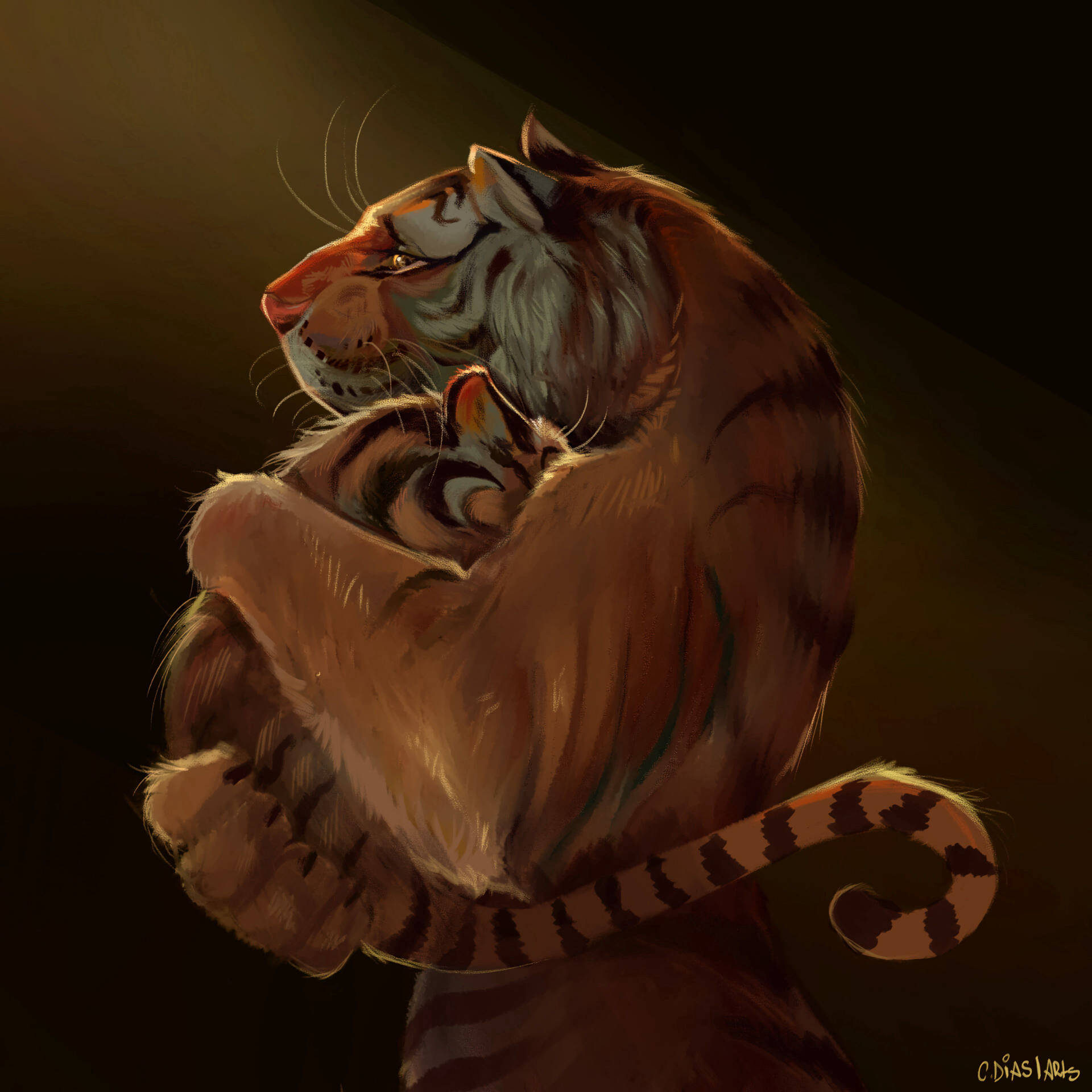 Tiger 3840X3840 Wallpaper and Background Image
