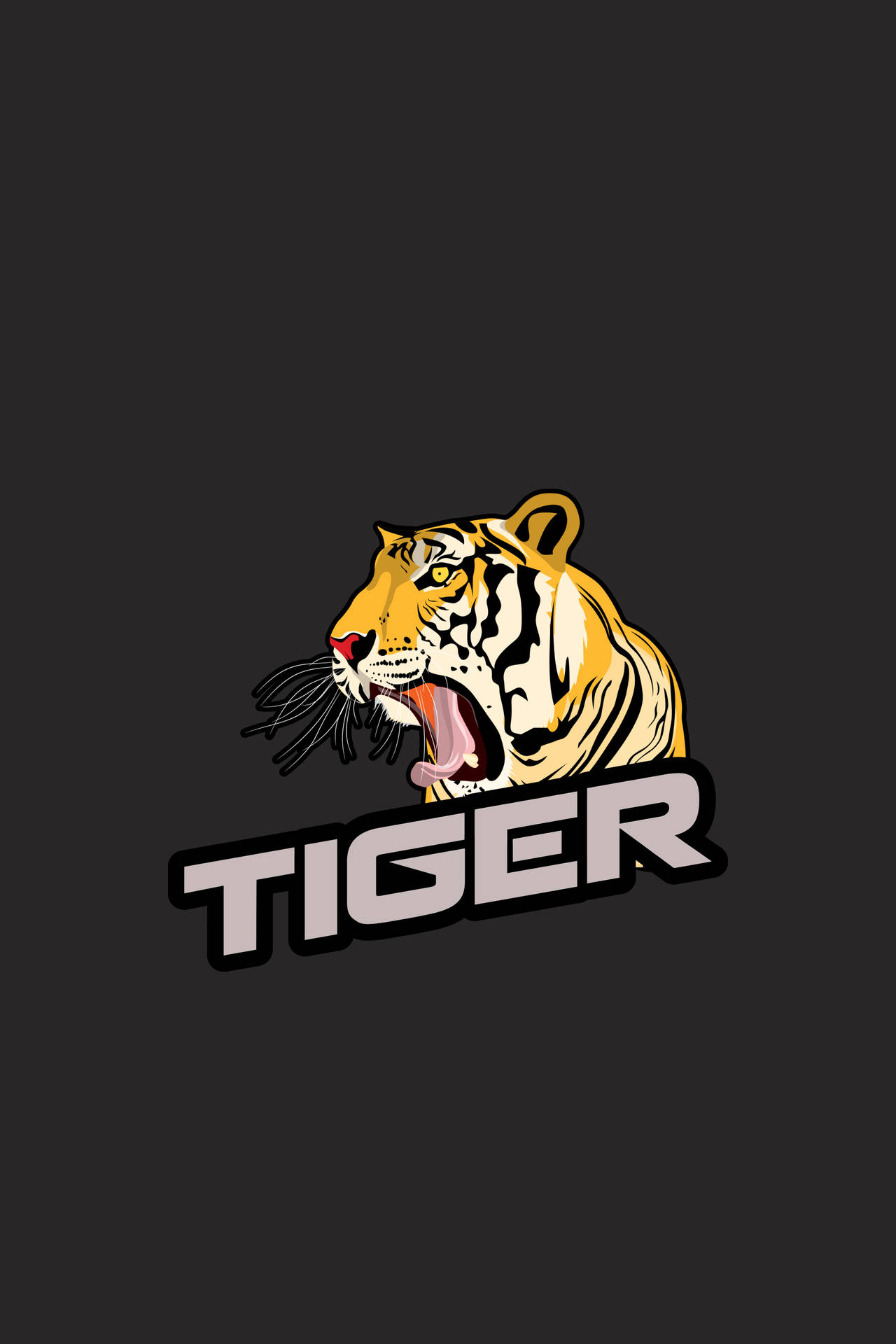 Tiger 4000X6000 wallpaper