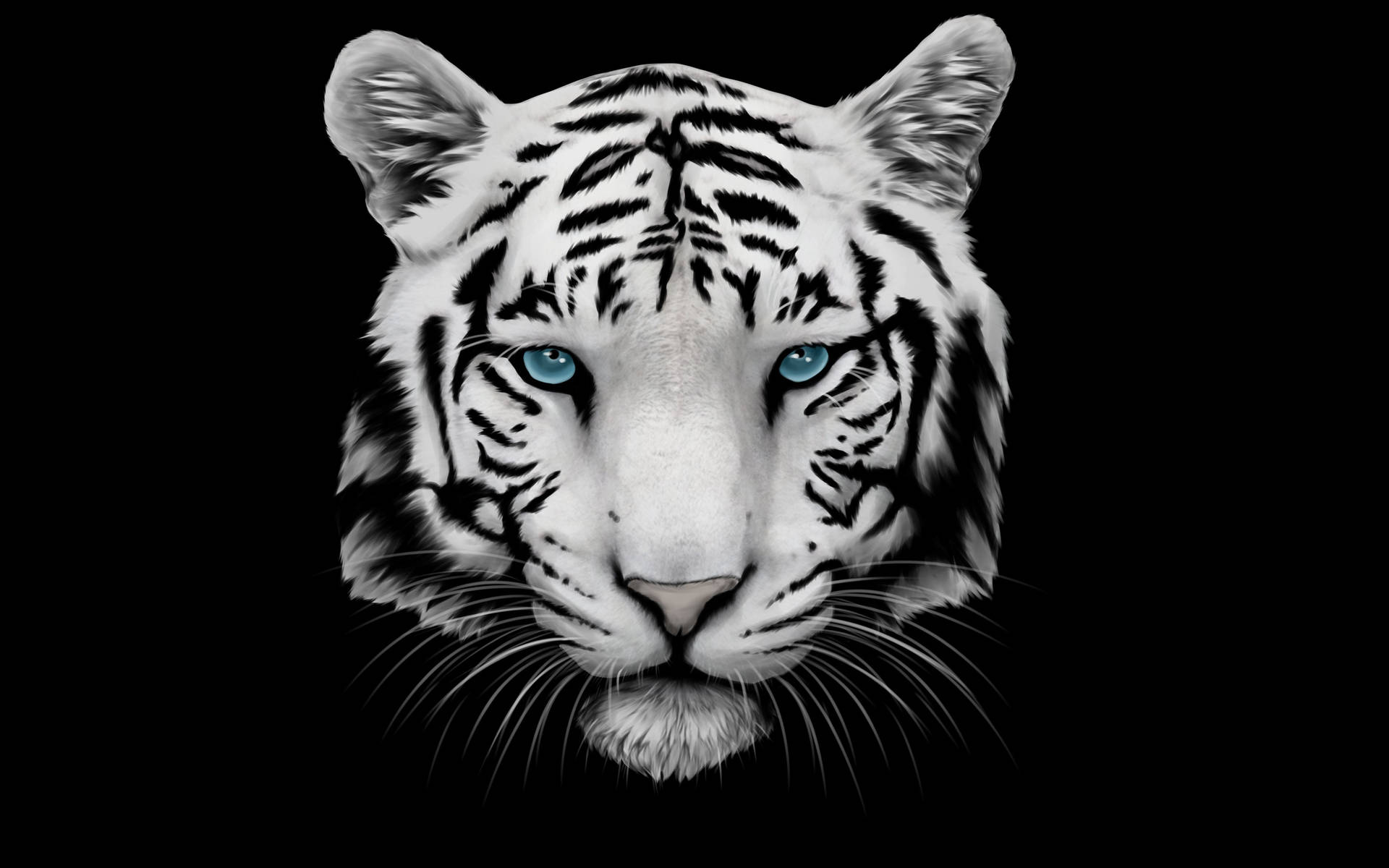Tiger 4800X3000 wallpaper