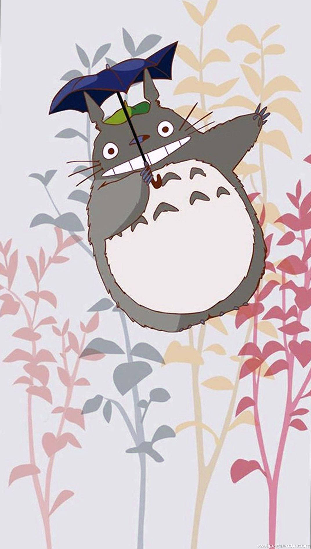 Totoro 1072X1890 Wallpaper and Background Image