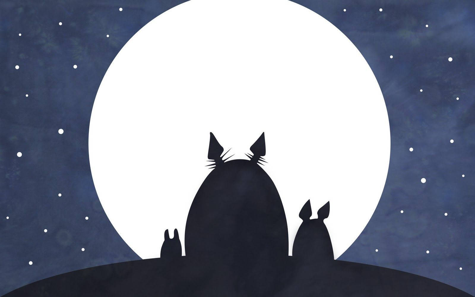 1600X1000 Totoro Wallpaper and Background