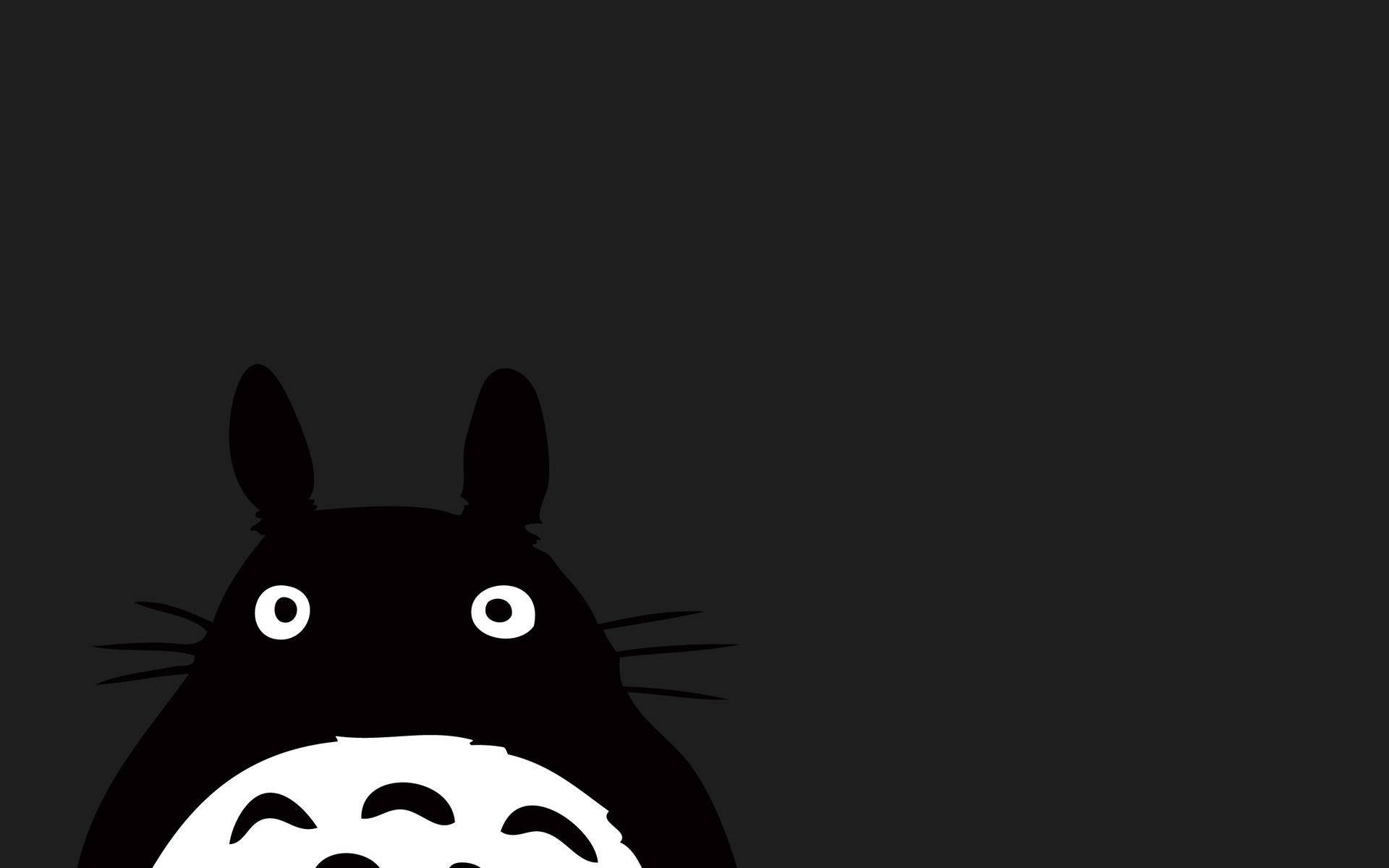 Totoro 1920X1200 Wallpaper and Background Image