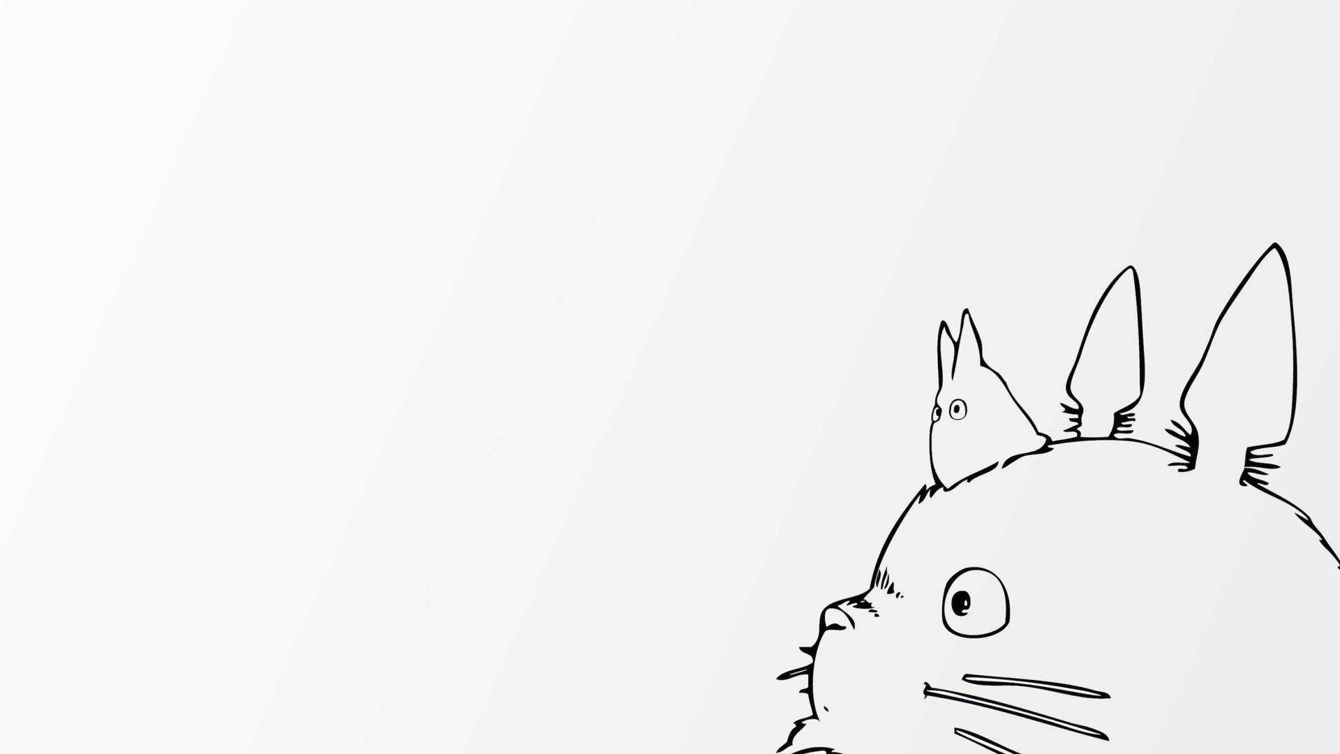 2560X1440 Totoro Wallpaper and Background
