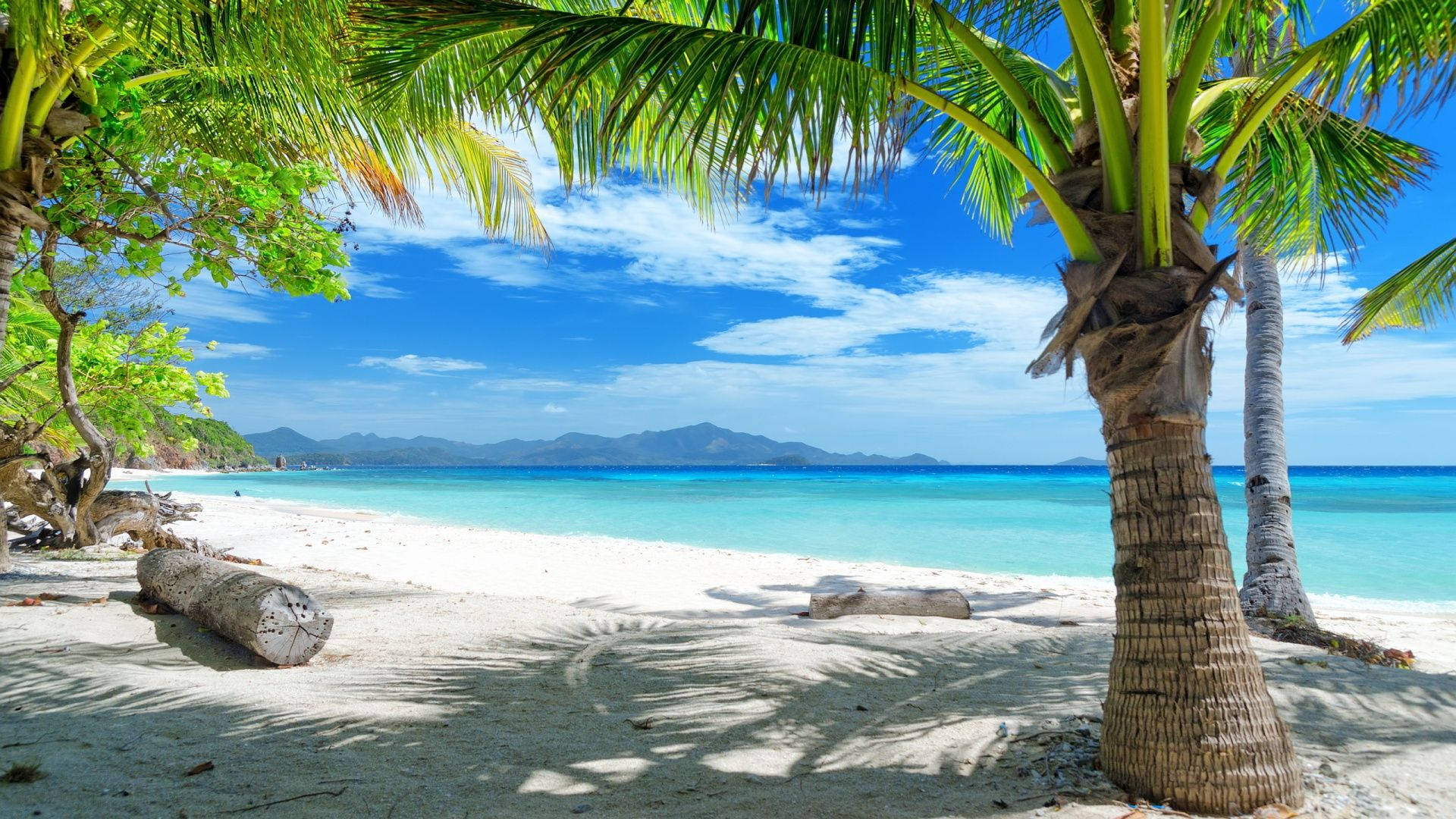 Tropical 1920X1080 Wallpaper and Background Image