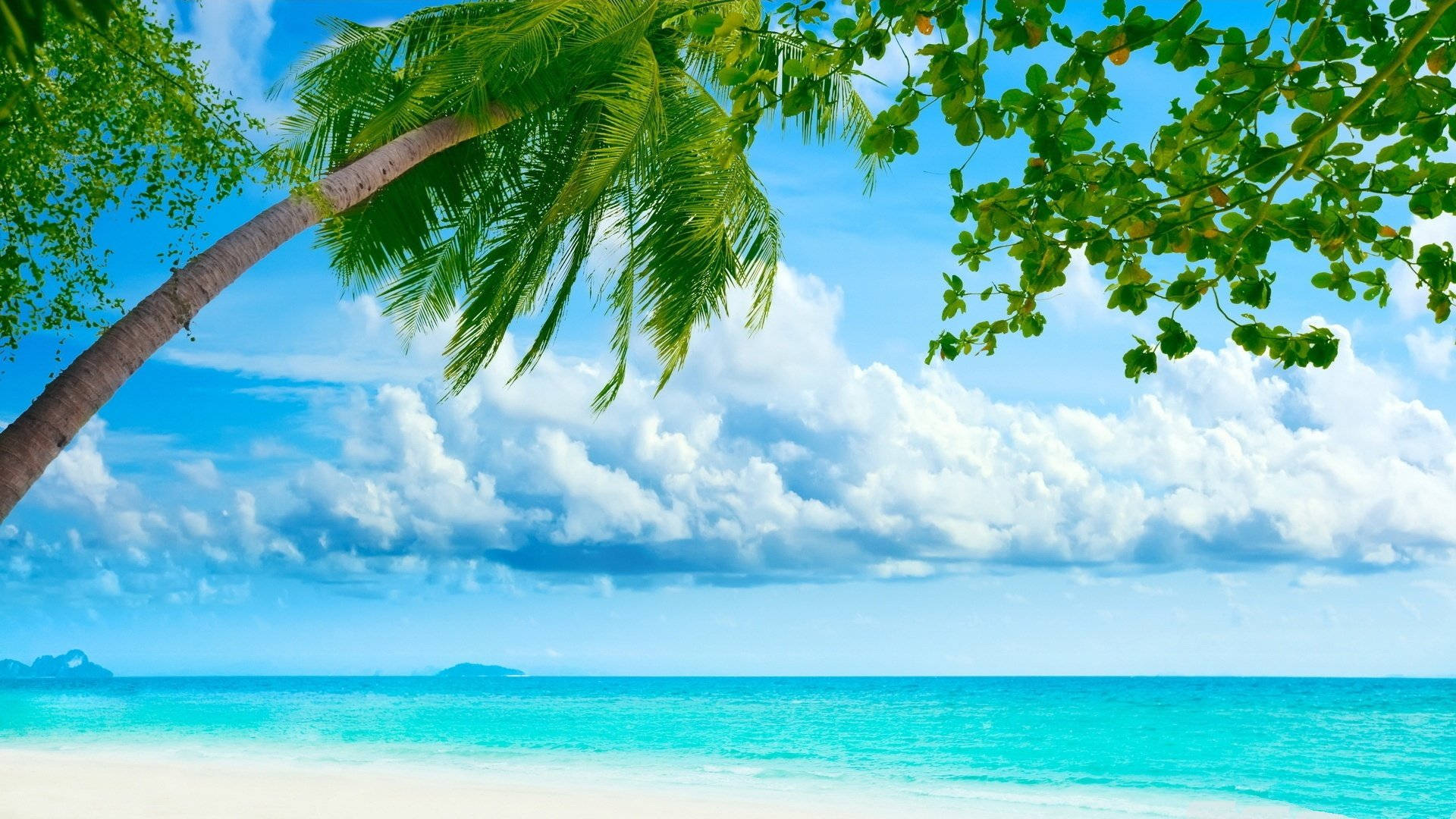1920X1080 Tropical Wallpaper and Background
