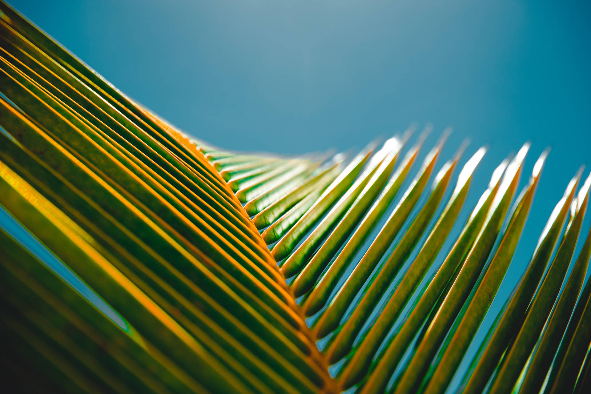 Tropical 5472X3648 Wallpaper and Background Image