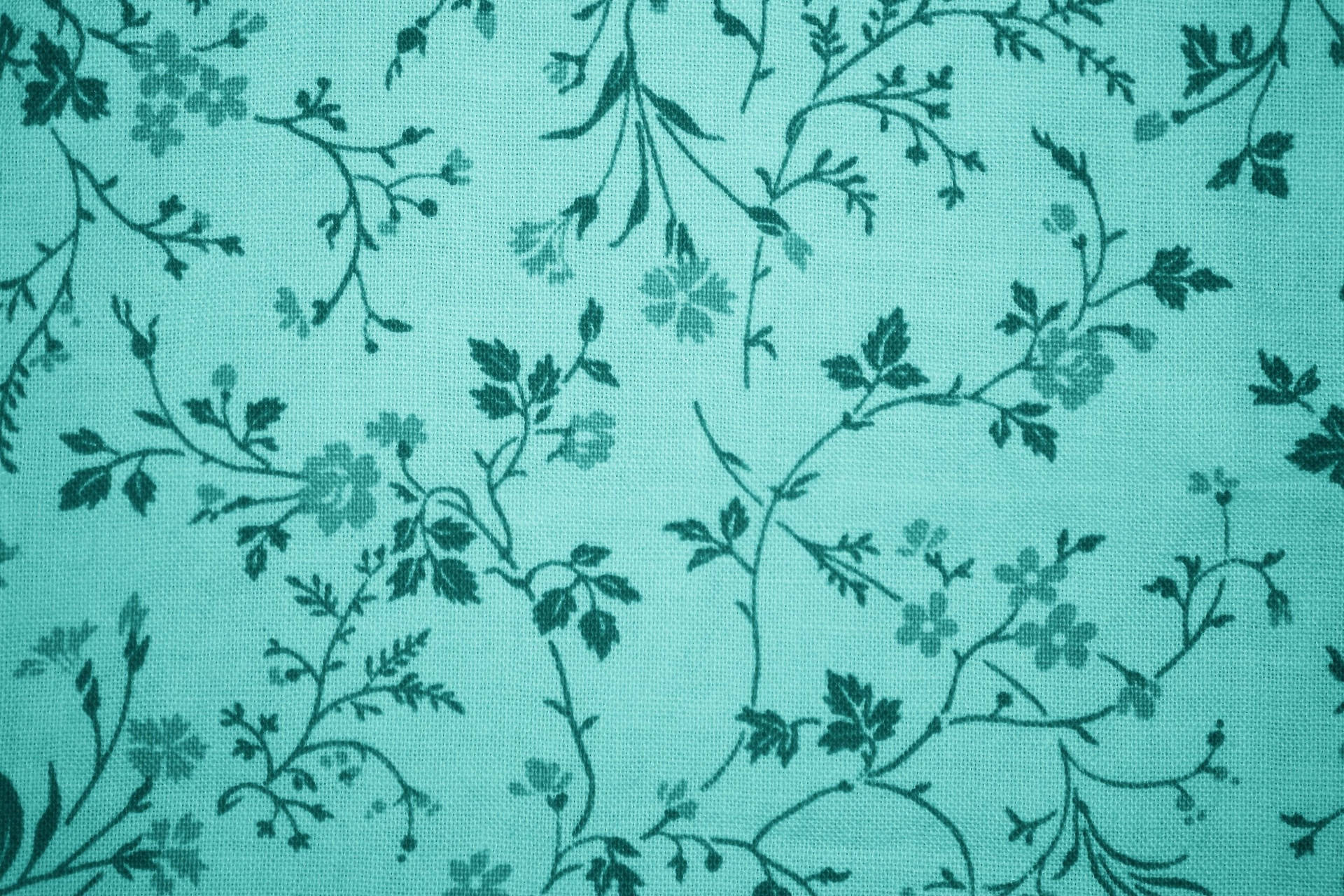 3000X2000 Turquoise Wallpaper and Background