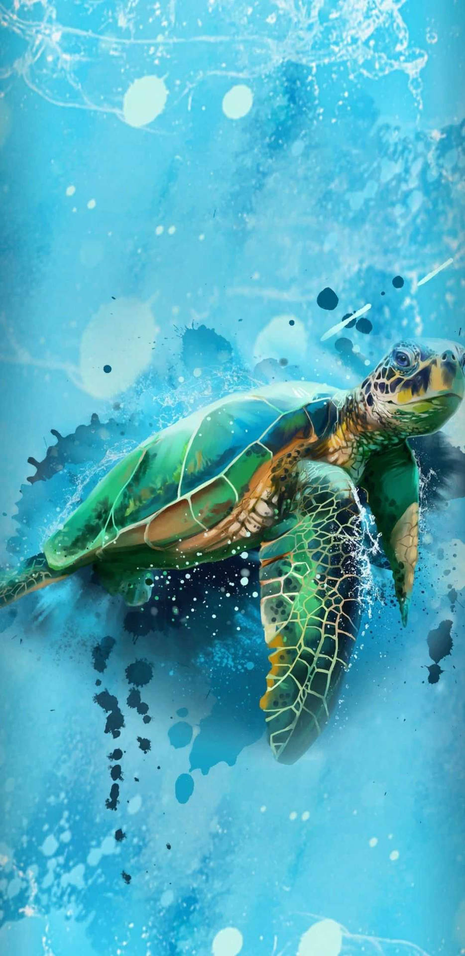 1080X2220 Turtle Wallpaper and Background