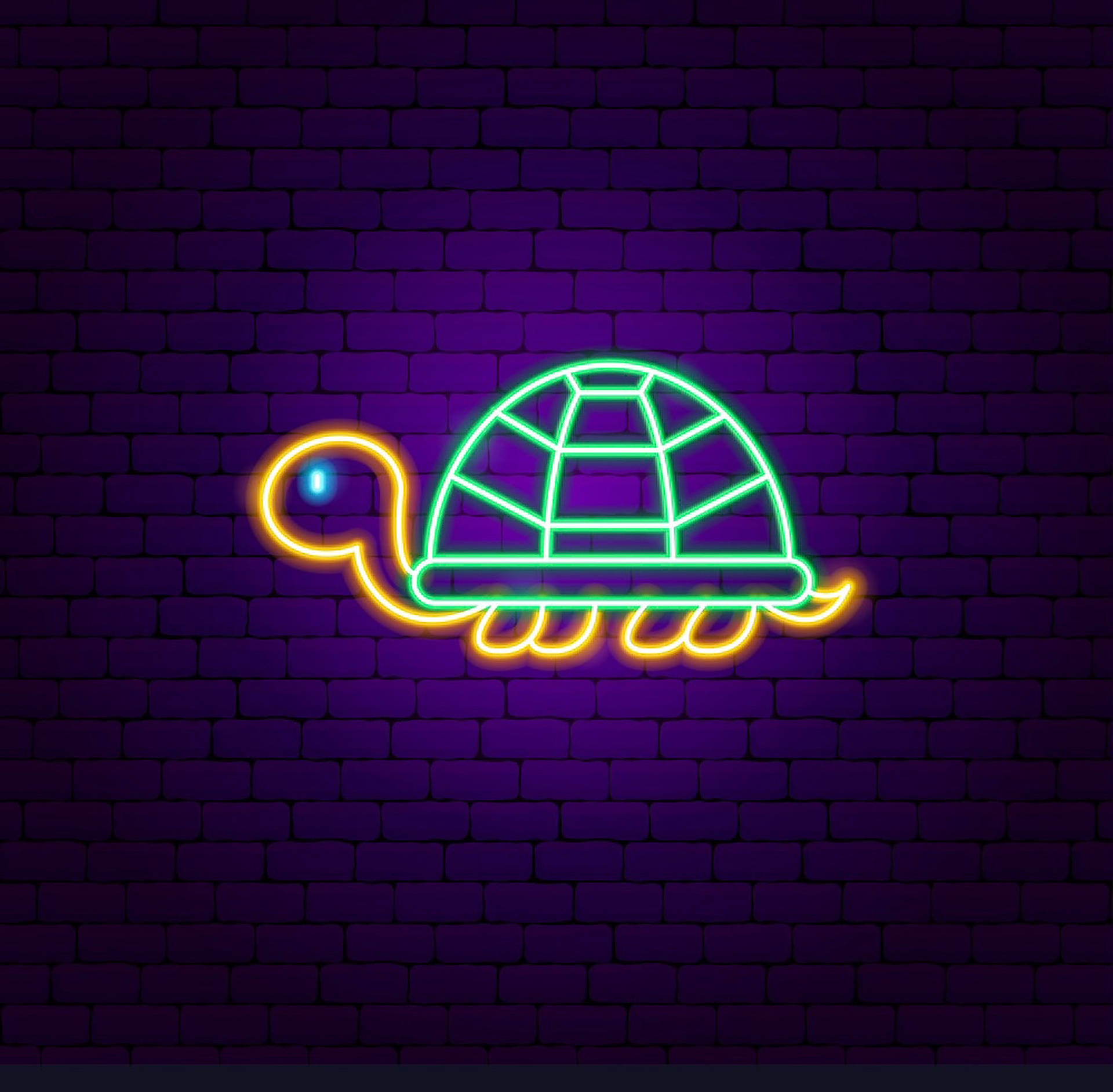 1998X1960 Turtle Wallpaper and Background