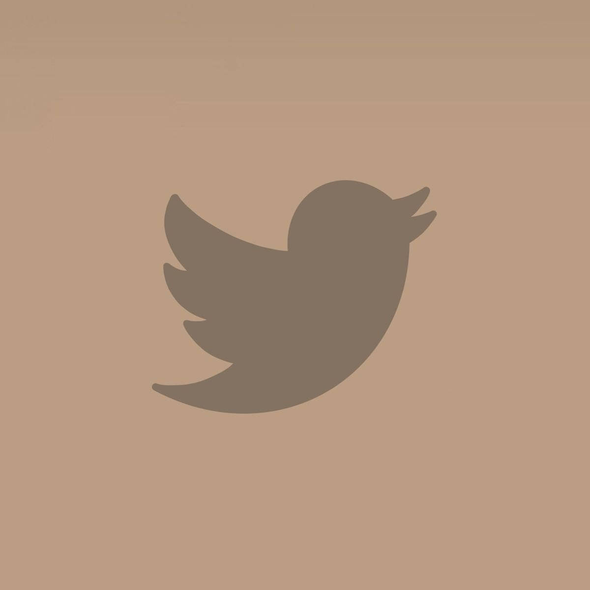 Twitter 1200X1200 Wallpaper and Background Image