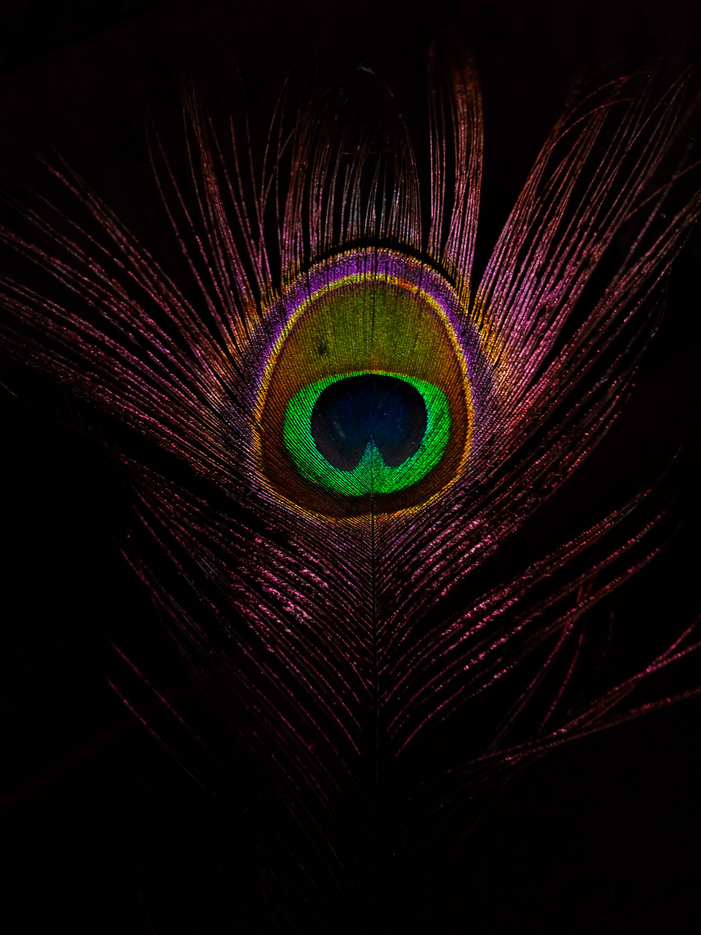 Twitter 3120X4160 wallpaper